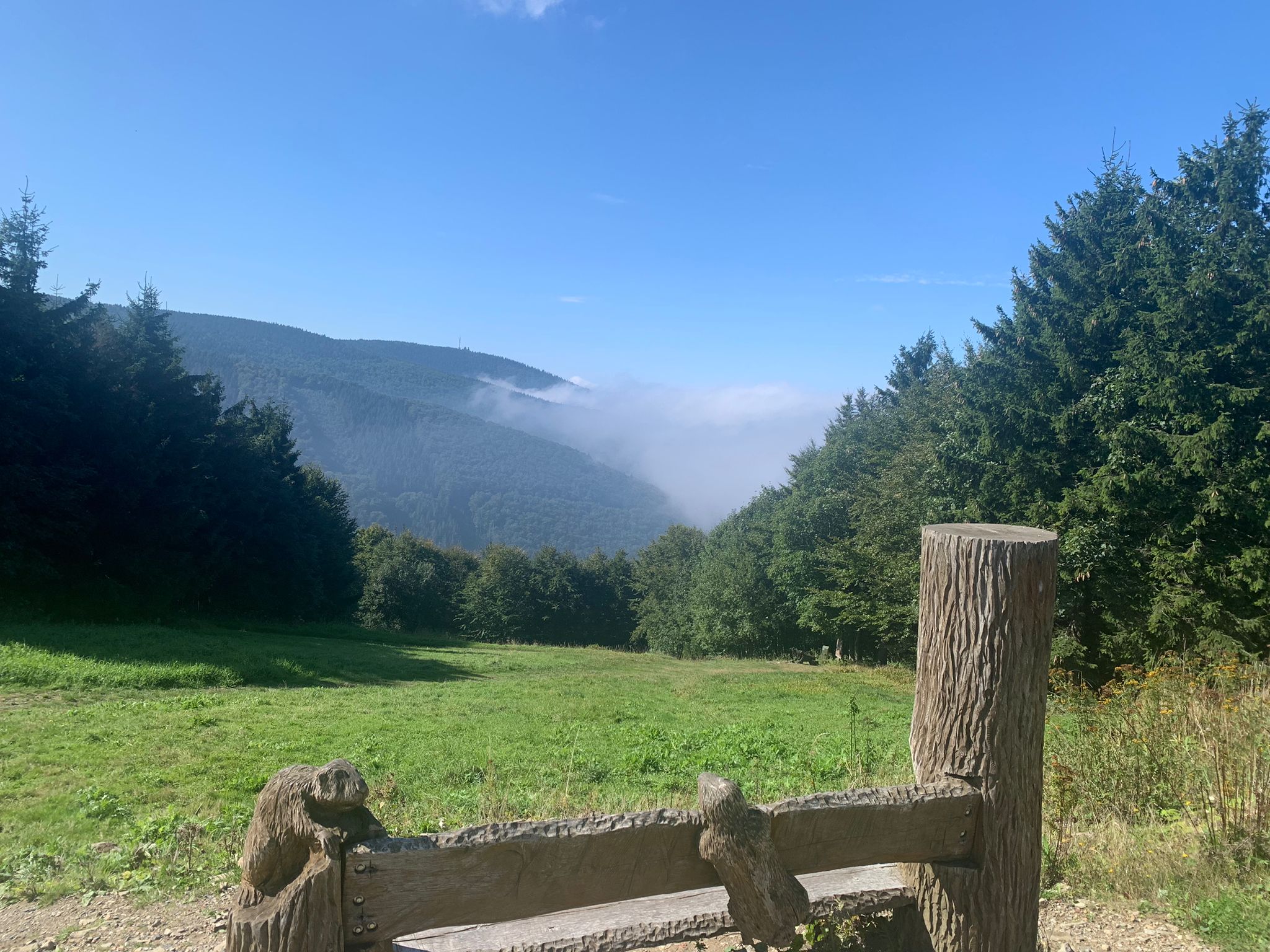 Údolí černého čápa foto 2