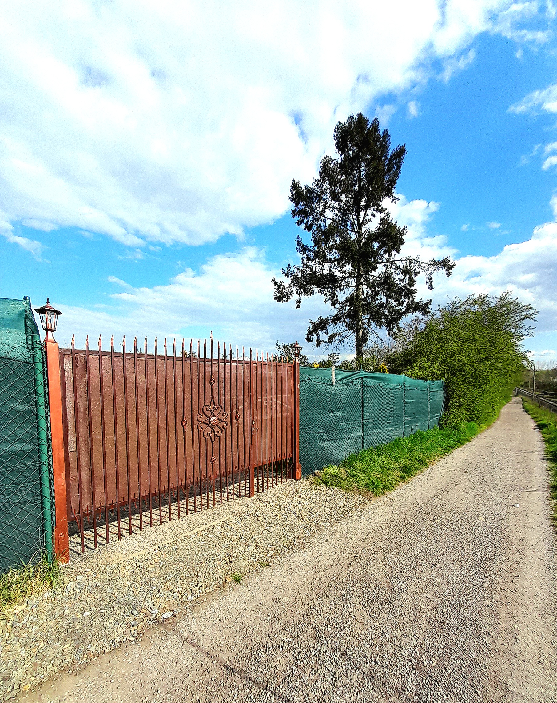 Ubytování The Forest House foto 3