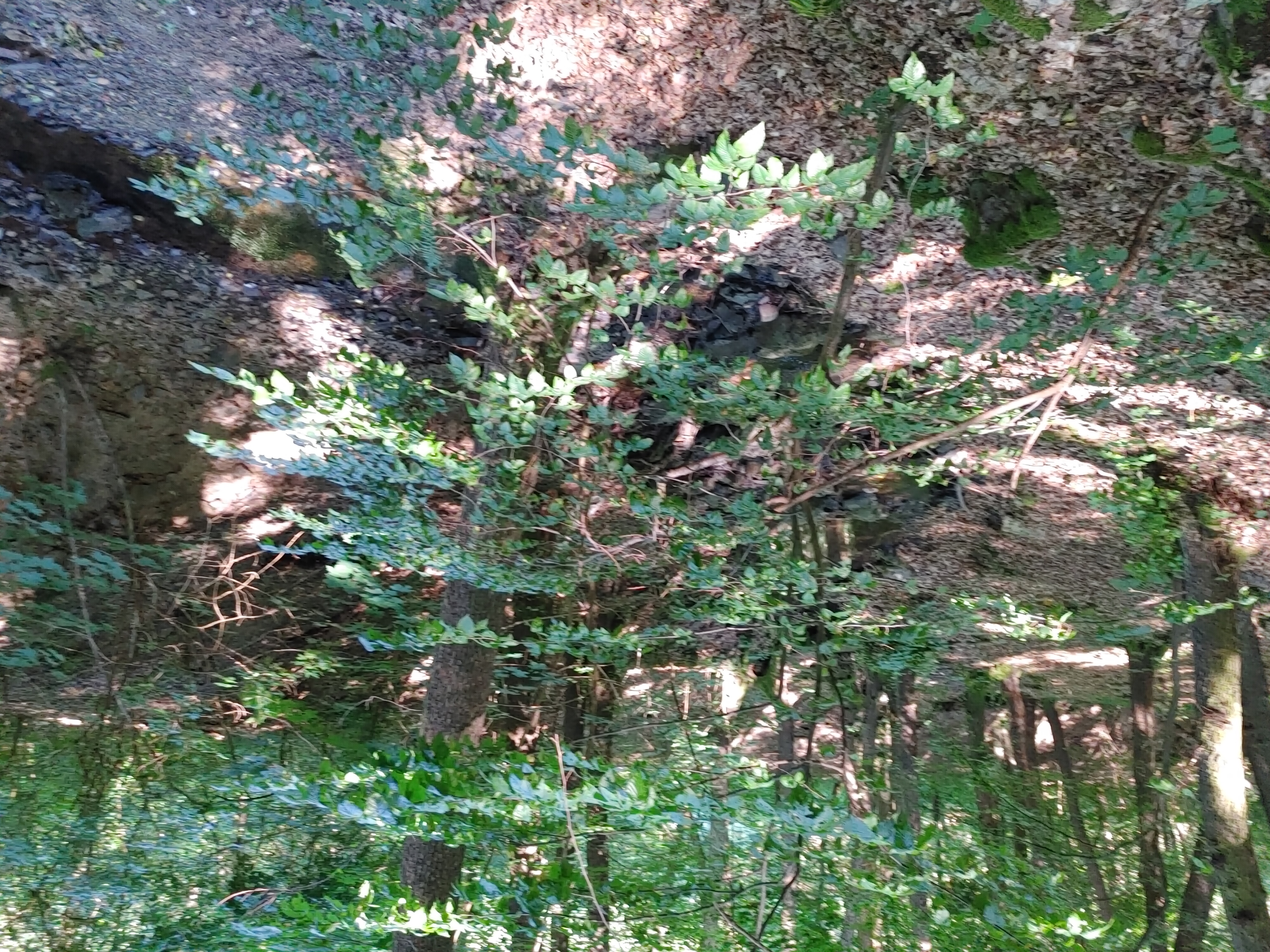 BENU lékárna foto 3