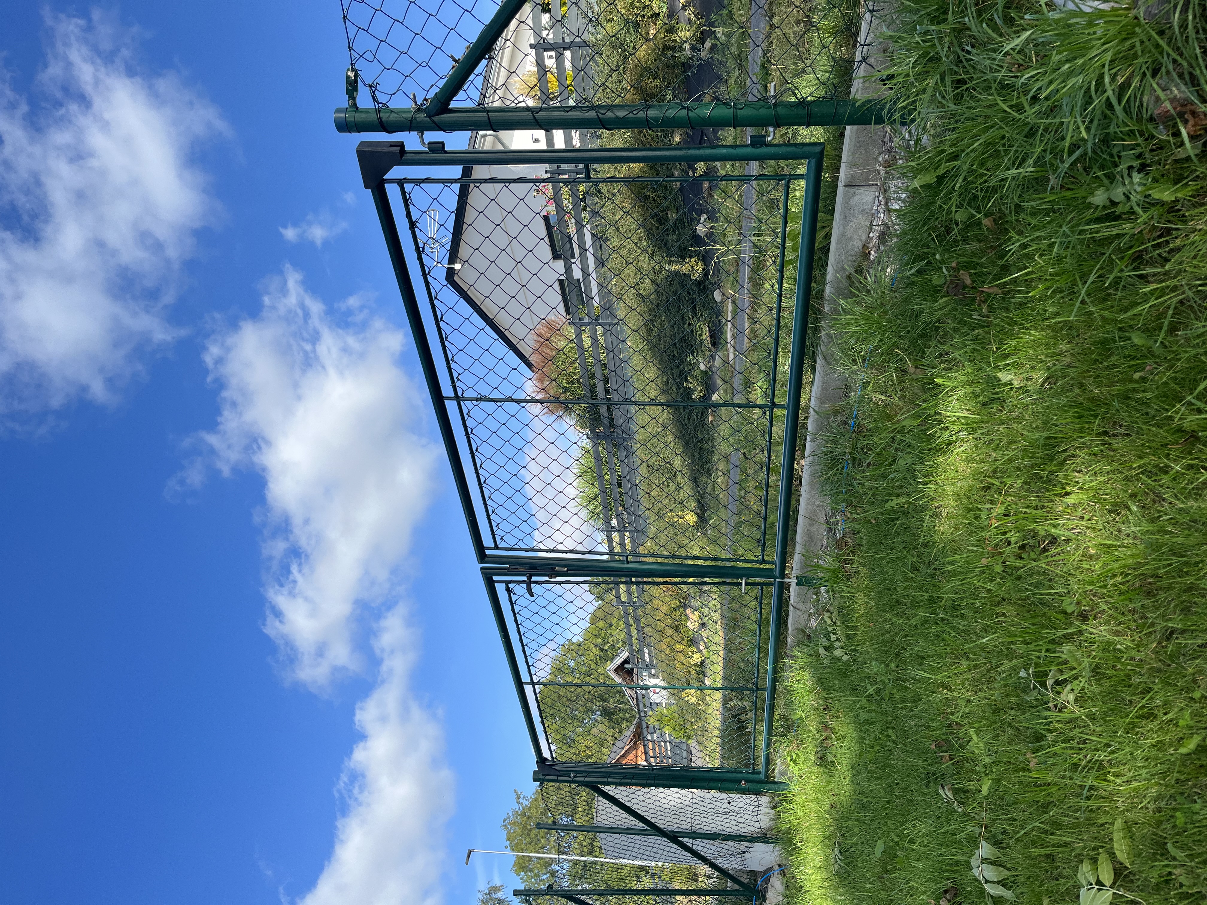 Bohemian Homes - Buddha foto 4