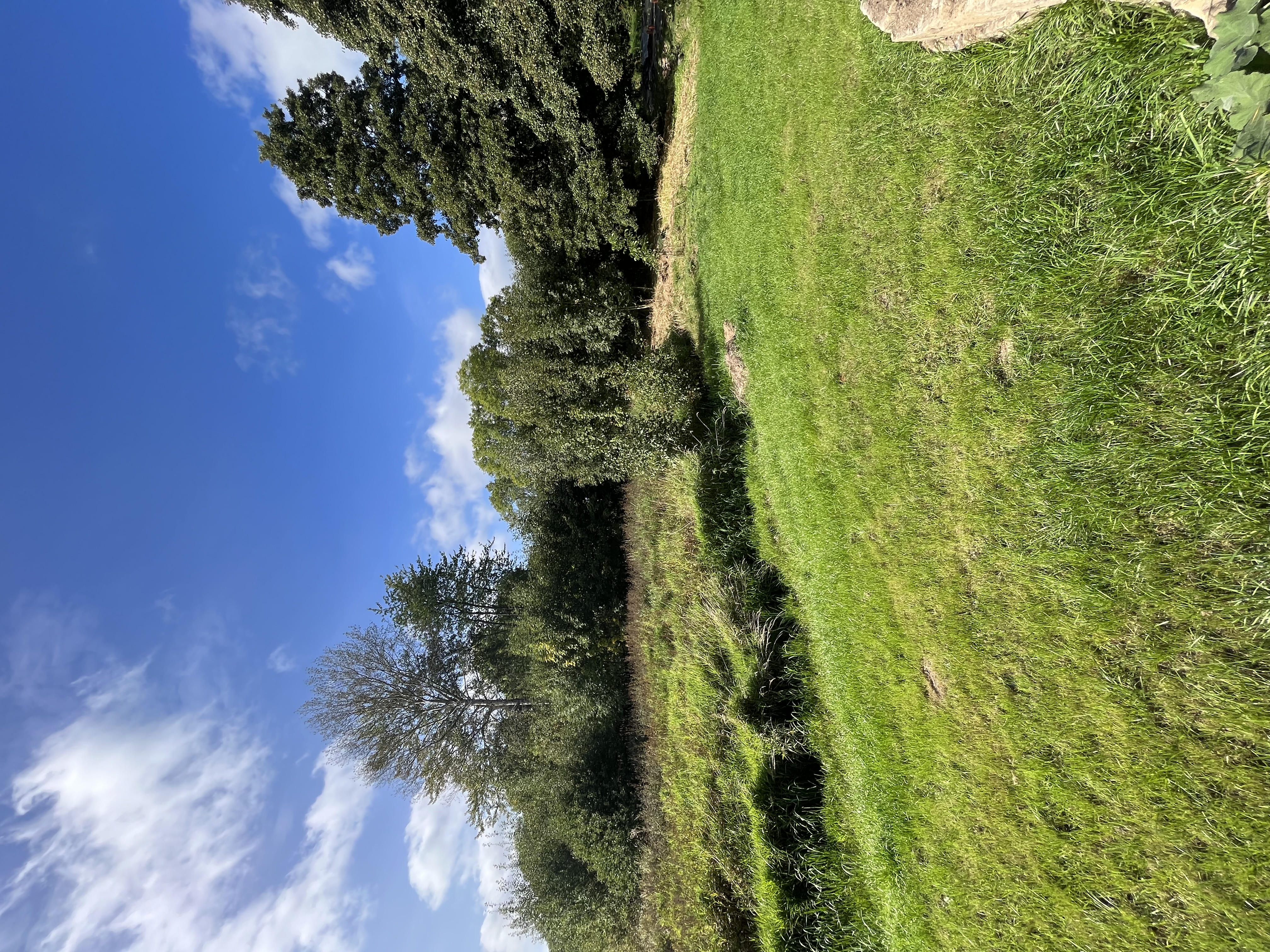 Bohemian Homes - Buddha foto 3