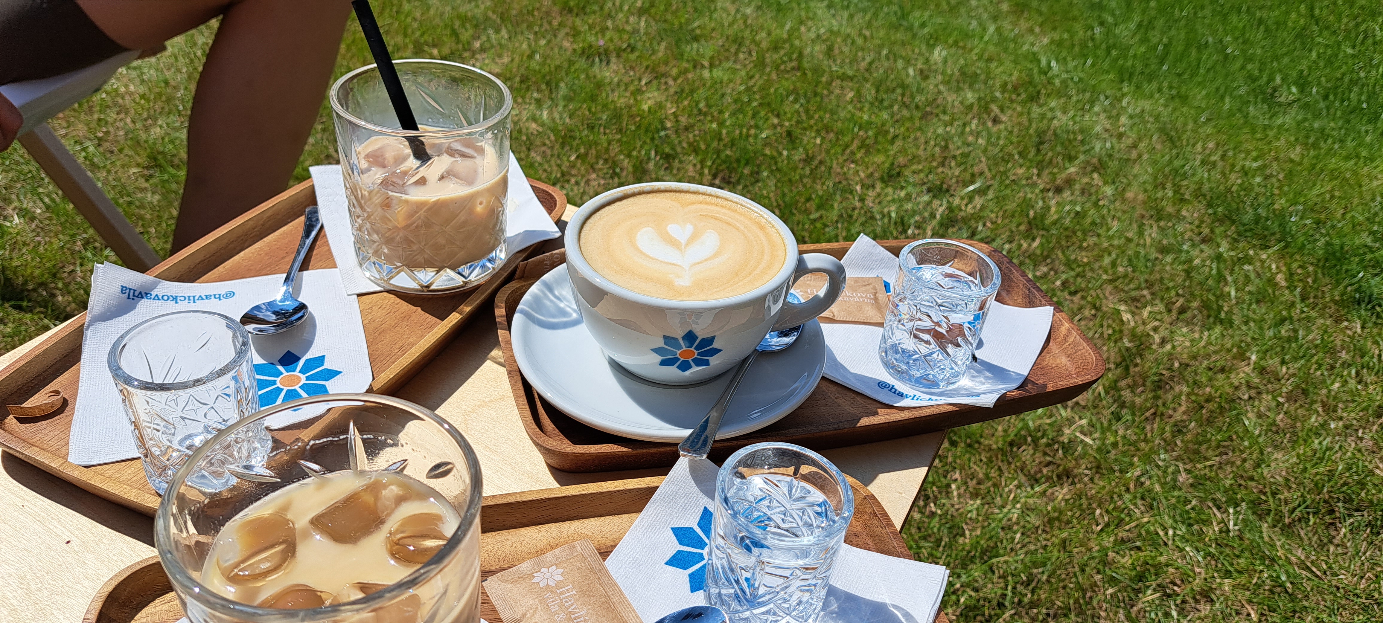 Havlíčkova vila & kavárna foto 4