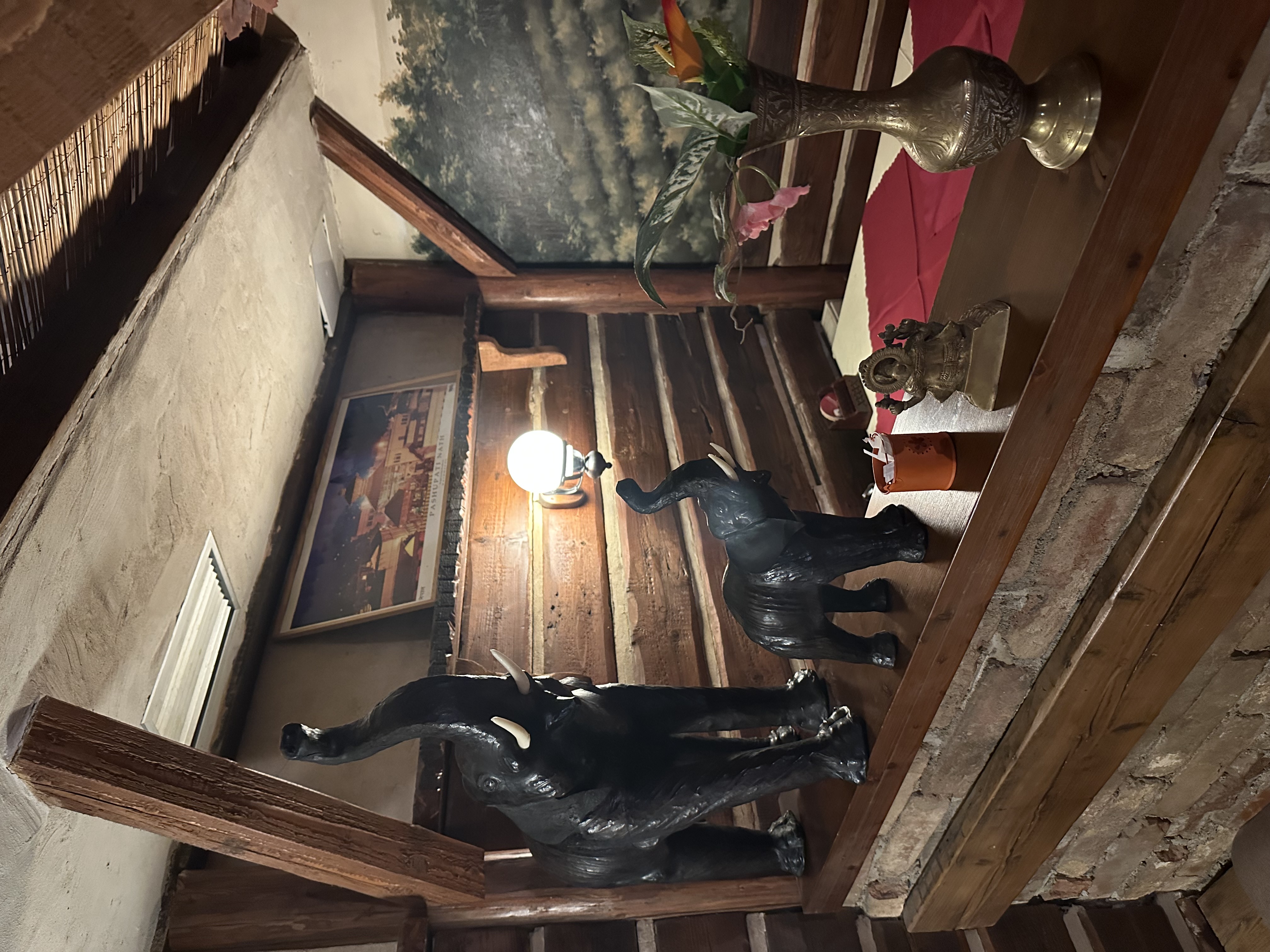 Indická a nepálská restaurace Everest foto 5