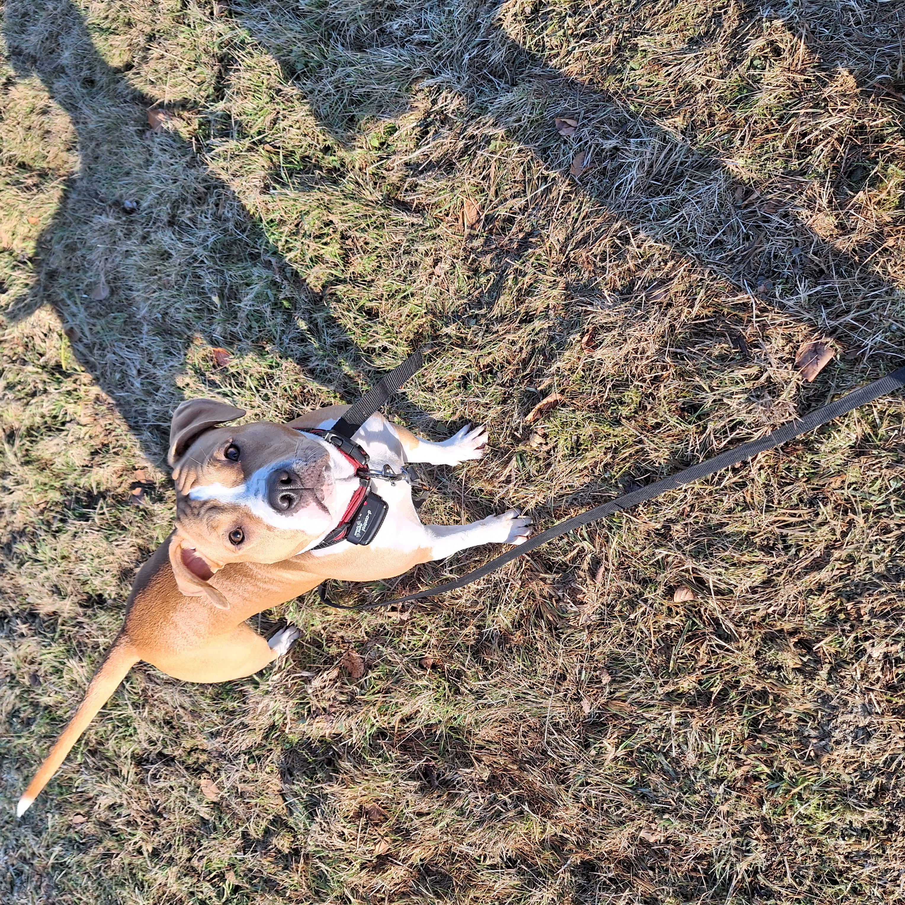 MVDr. Roman Myška - Veterinární ordinace foto 2