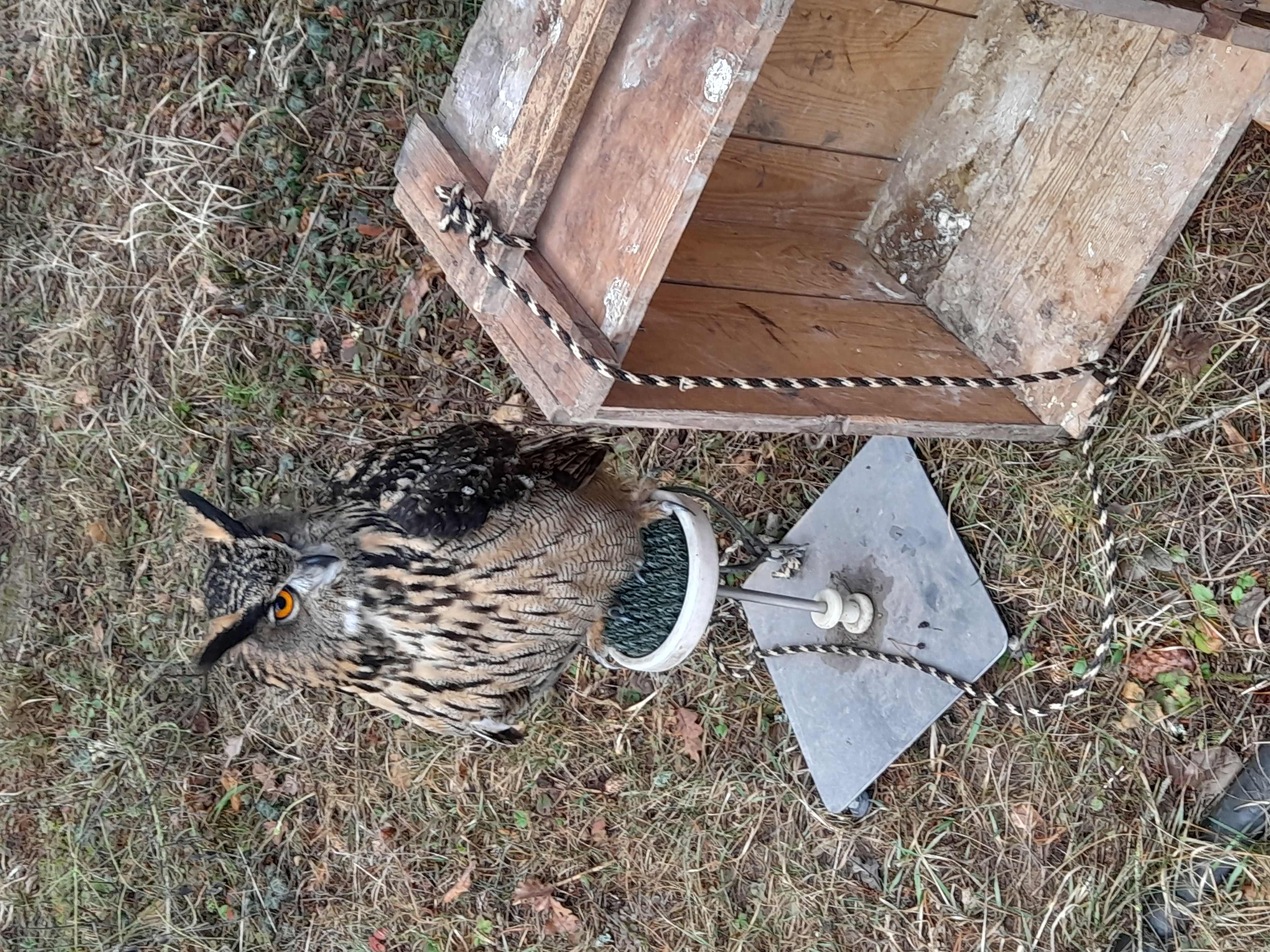 Areál lesní pedagogiky Doubravka foto 4