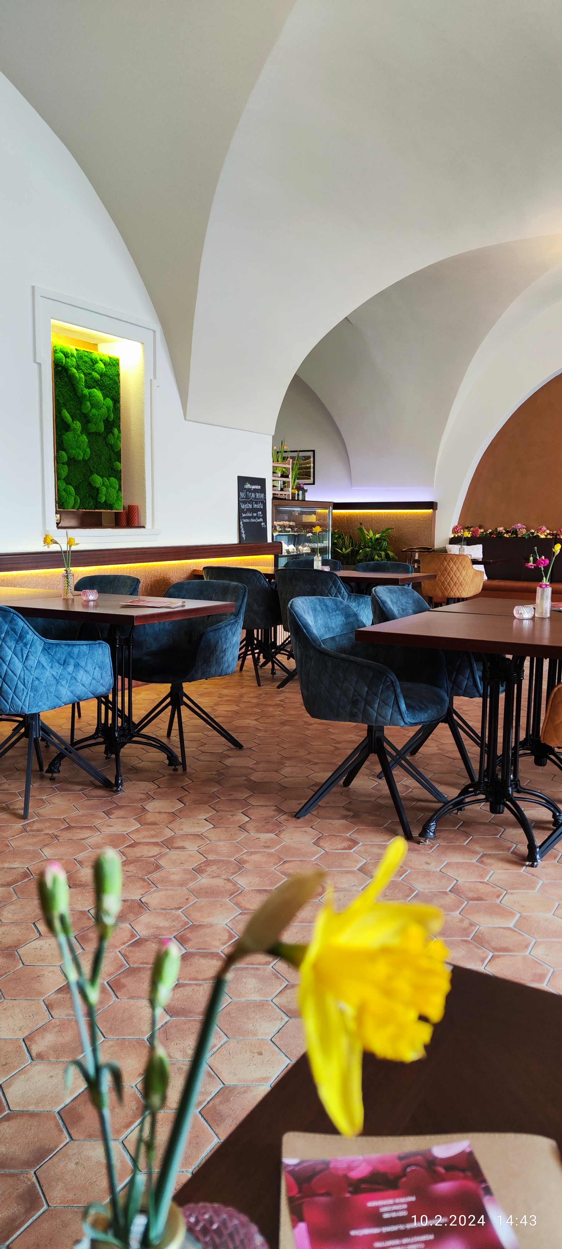 Coffeegarden u Zvonu foto 2