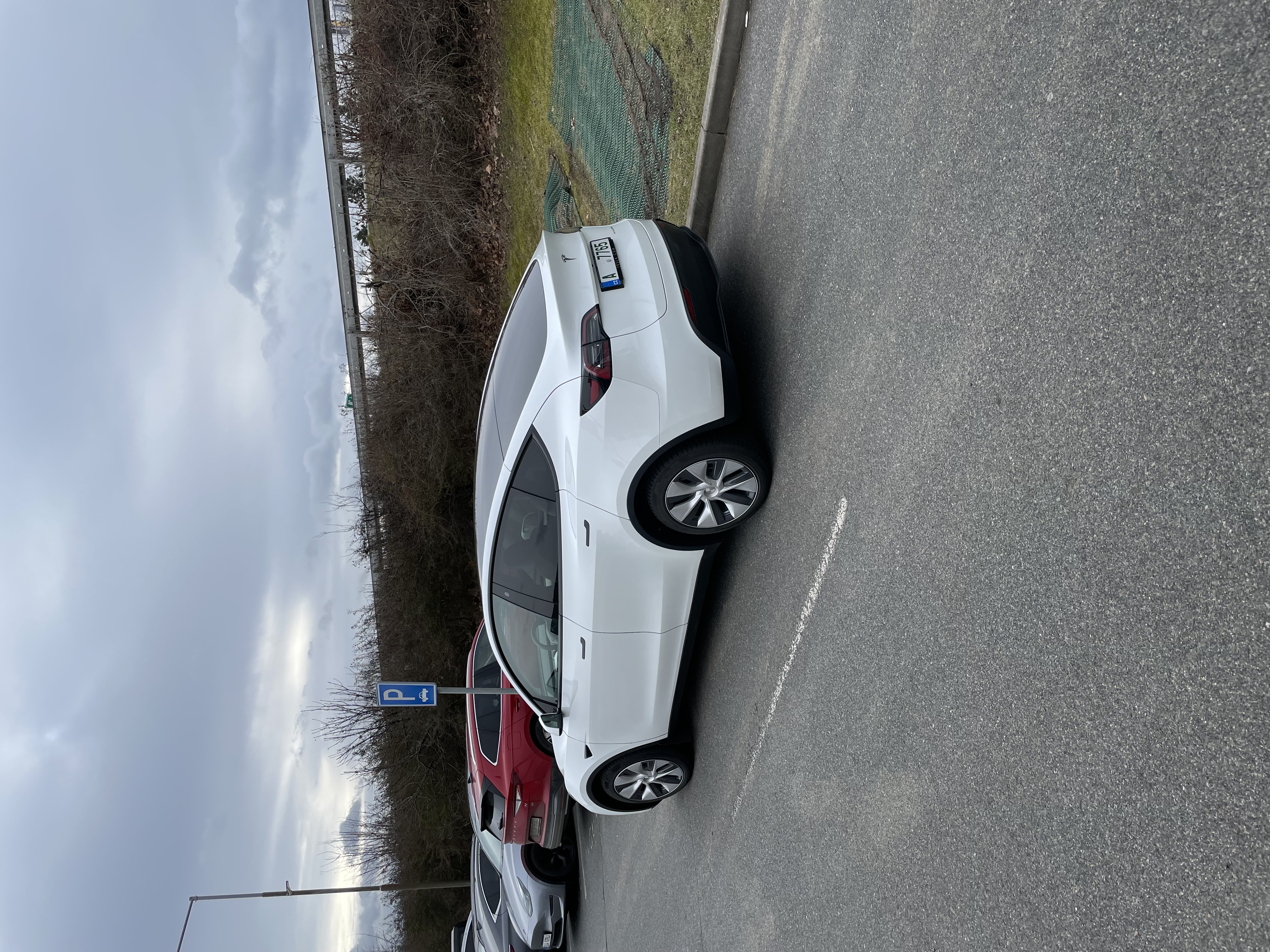 Pronájem TESLA Y foto 5