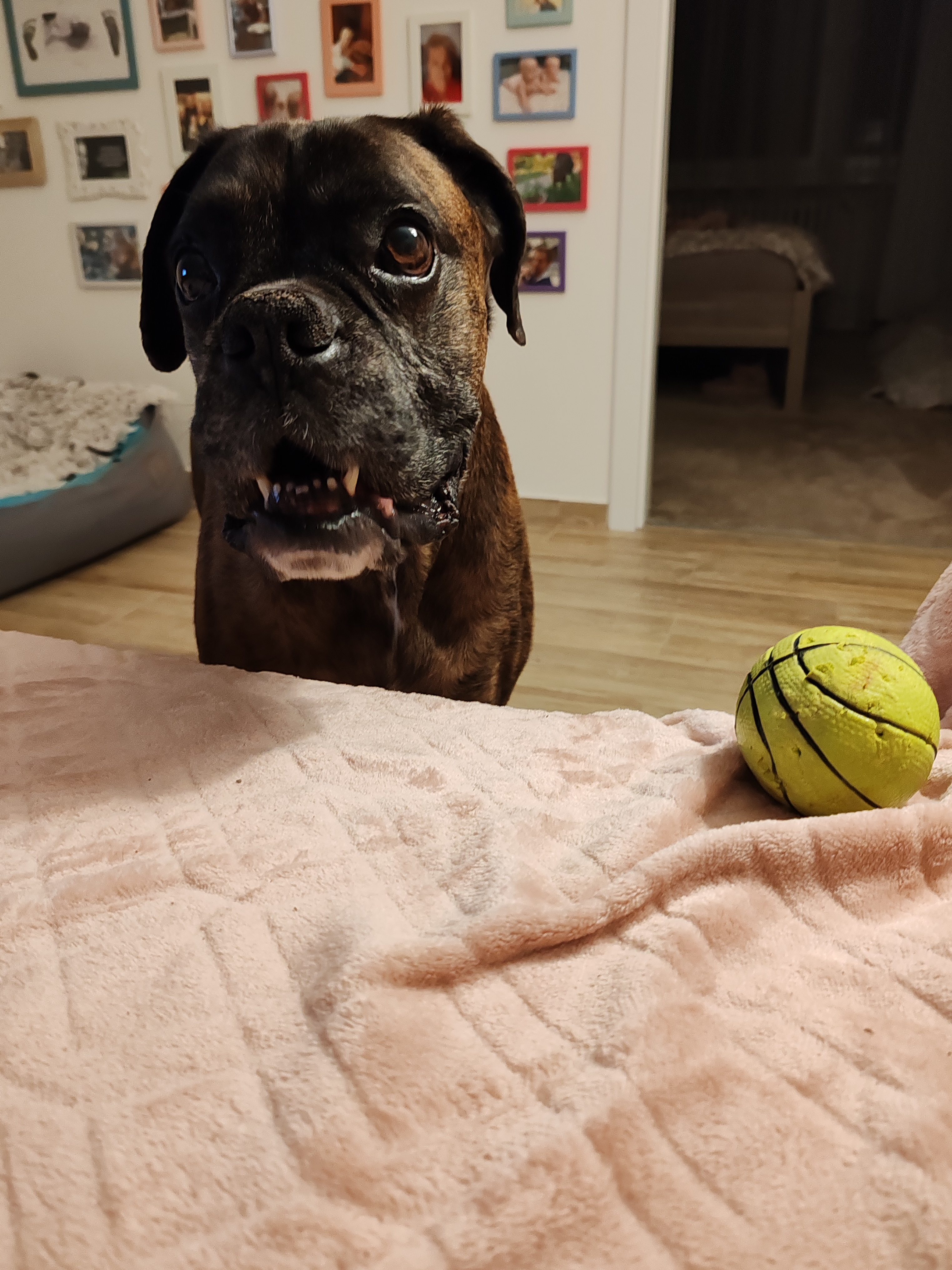 Veterinární klinika Zbraslav foto 5