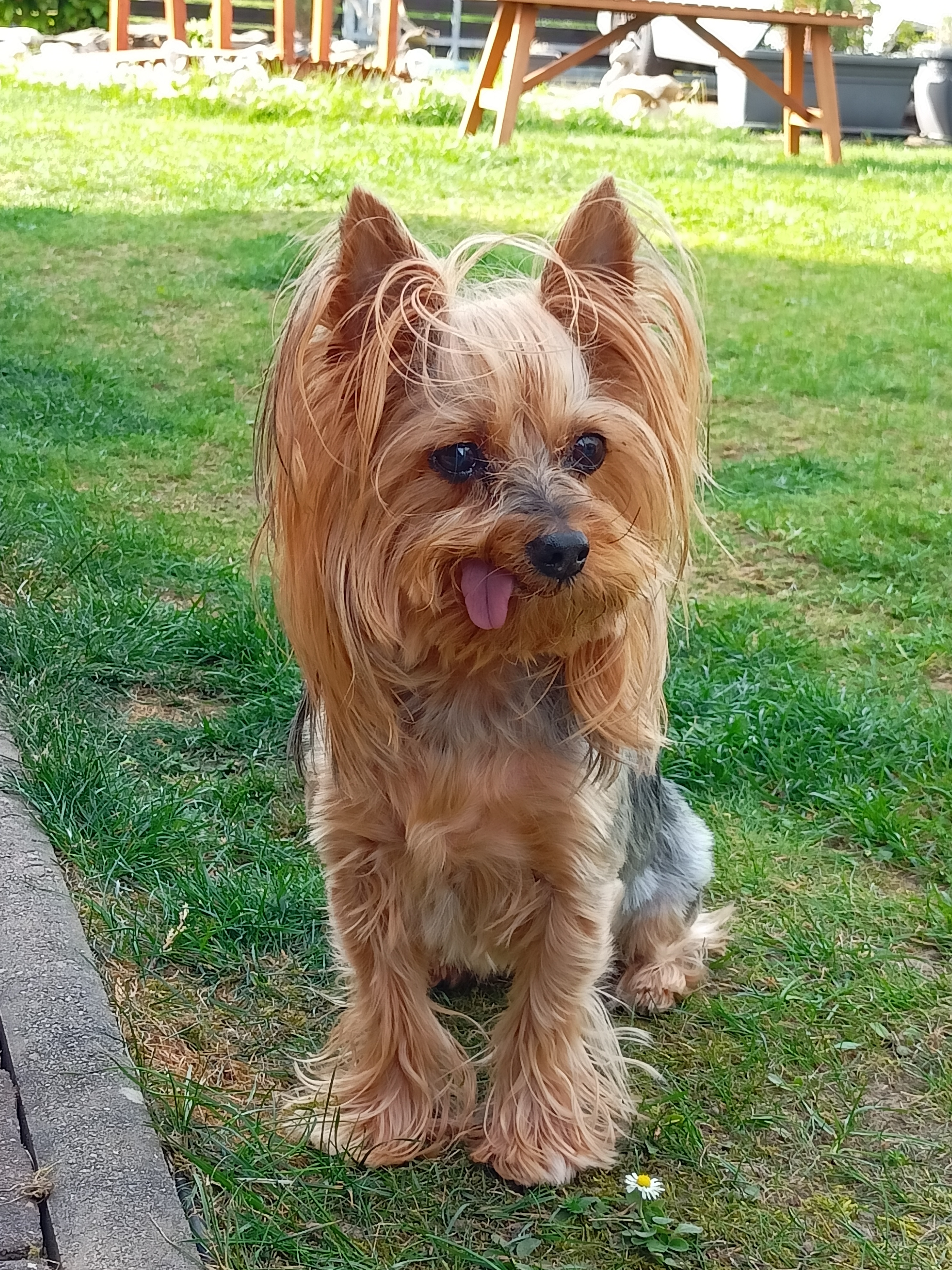 Veterinární nemocnice AA-Vet foto 5