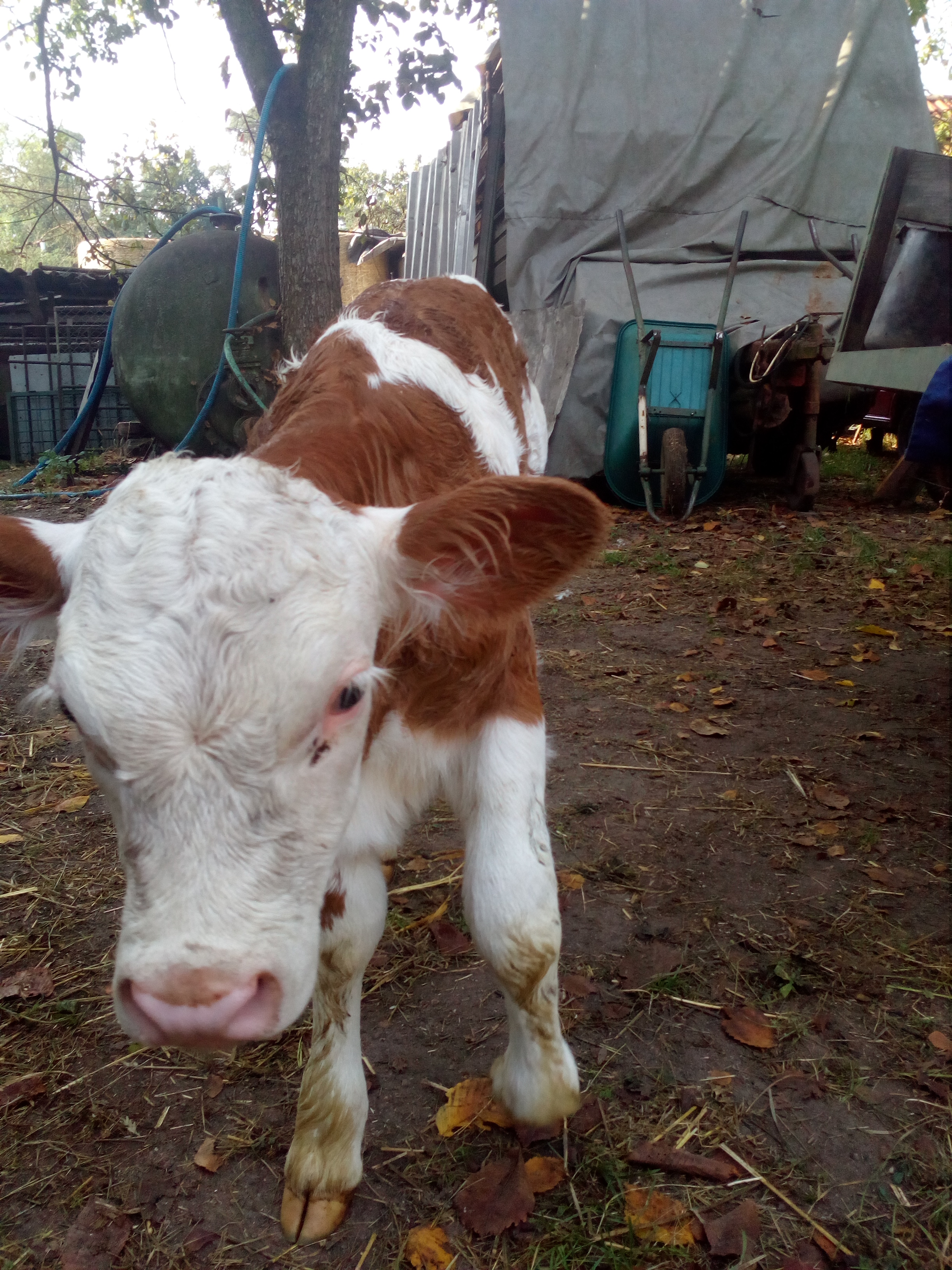 AGI HK, spol. s r.o. foto 2