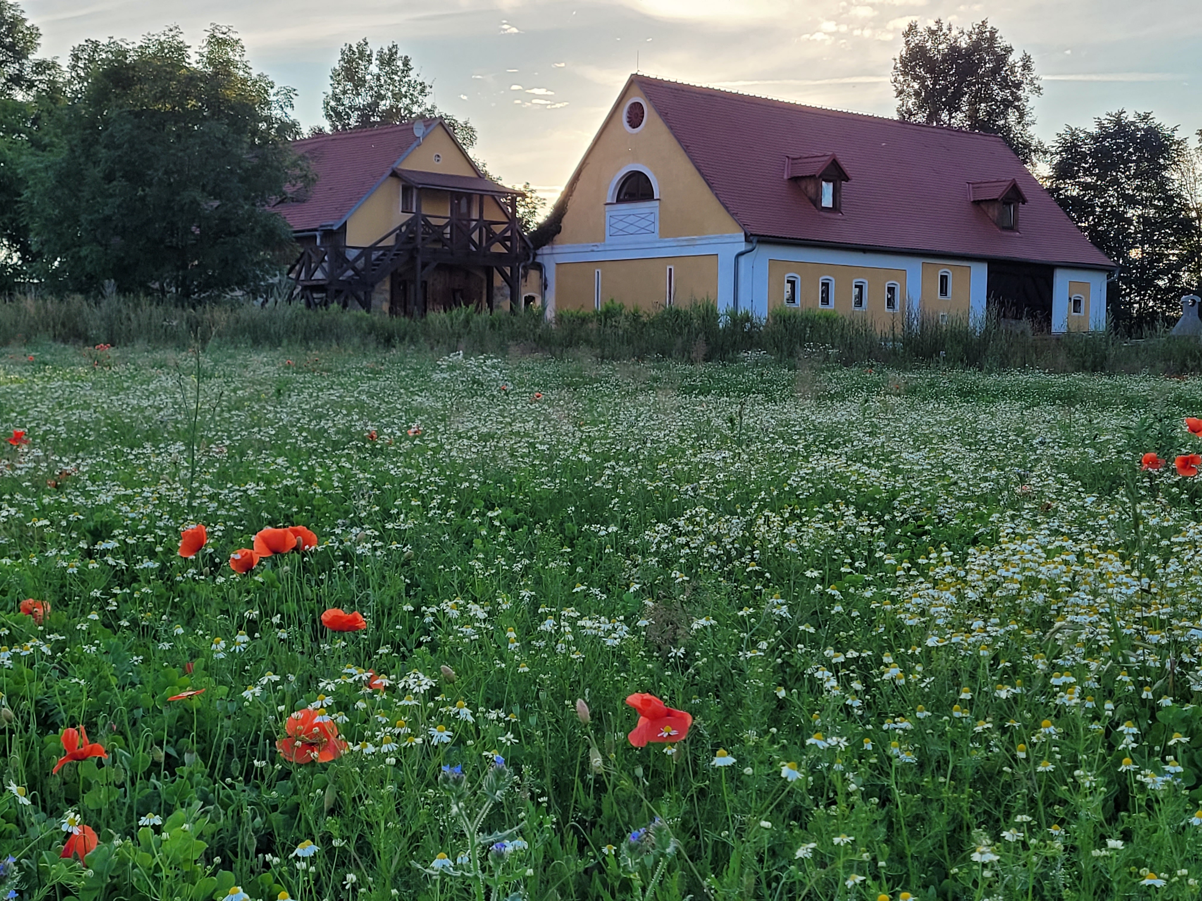 Penzion Na Hrázděném statku foto 4