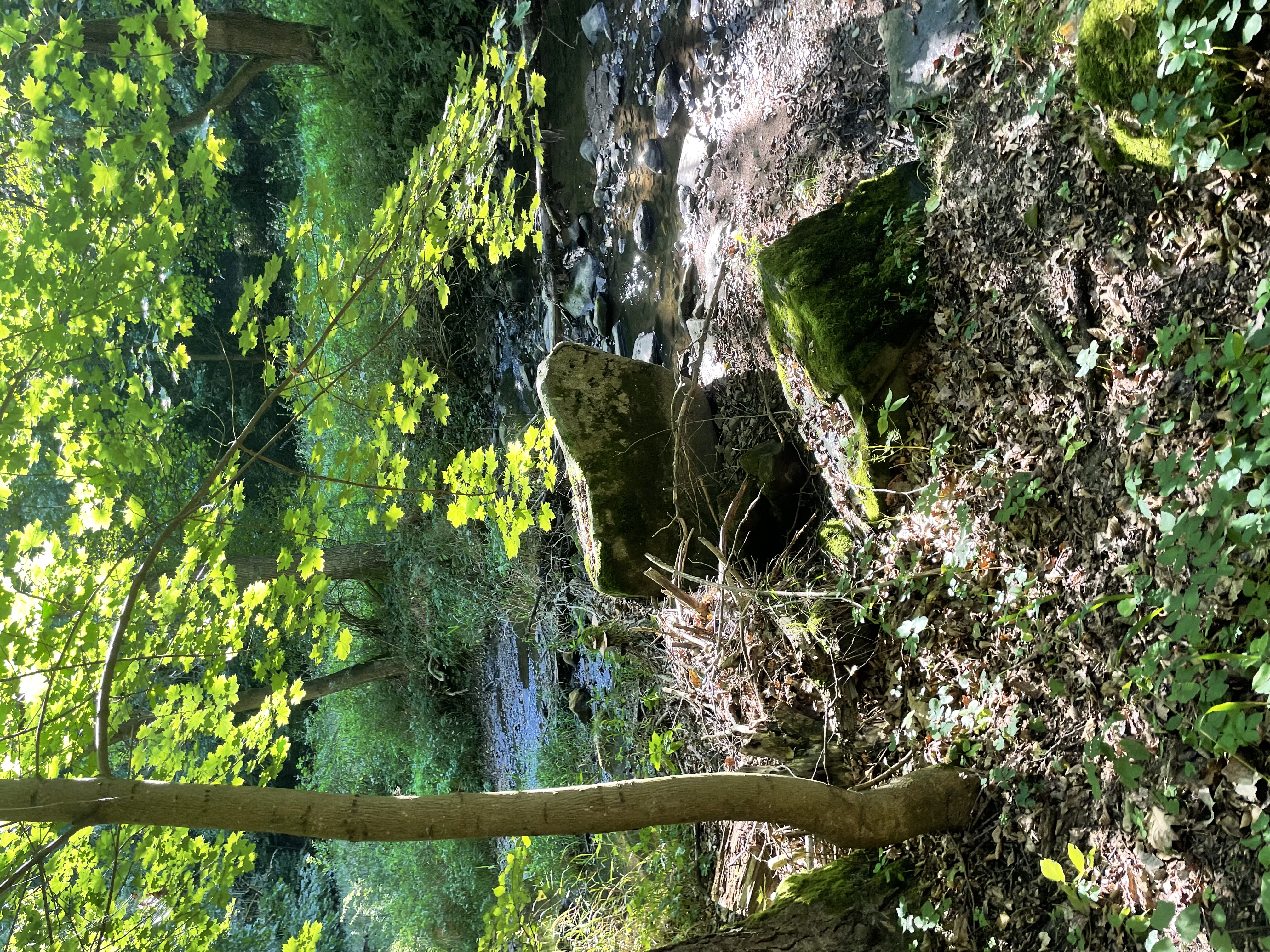 Rekreační středisko Star Line Hrachov 167 foto 6