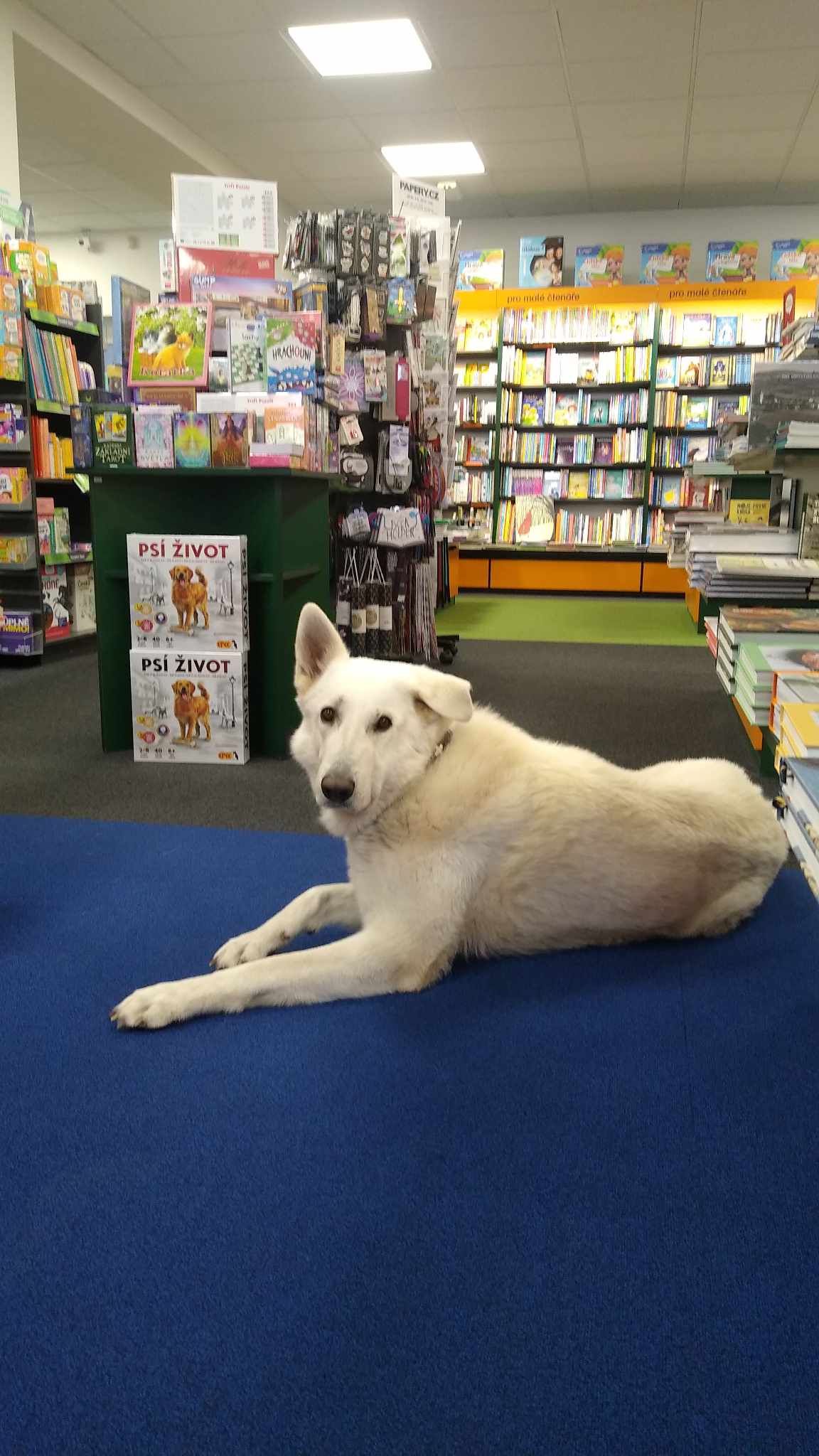 Knihy Kanzelsberger foto 2