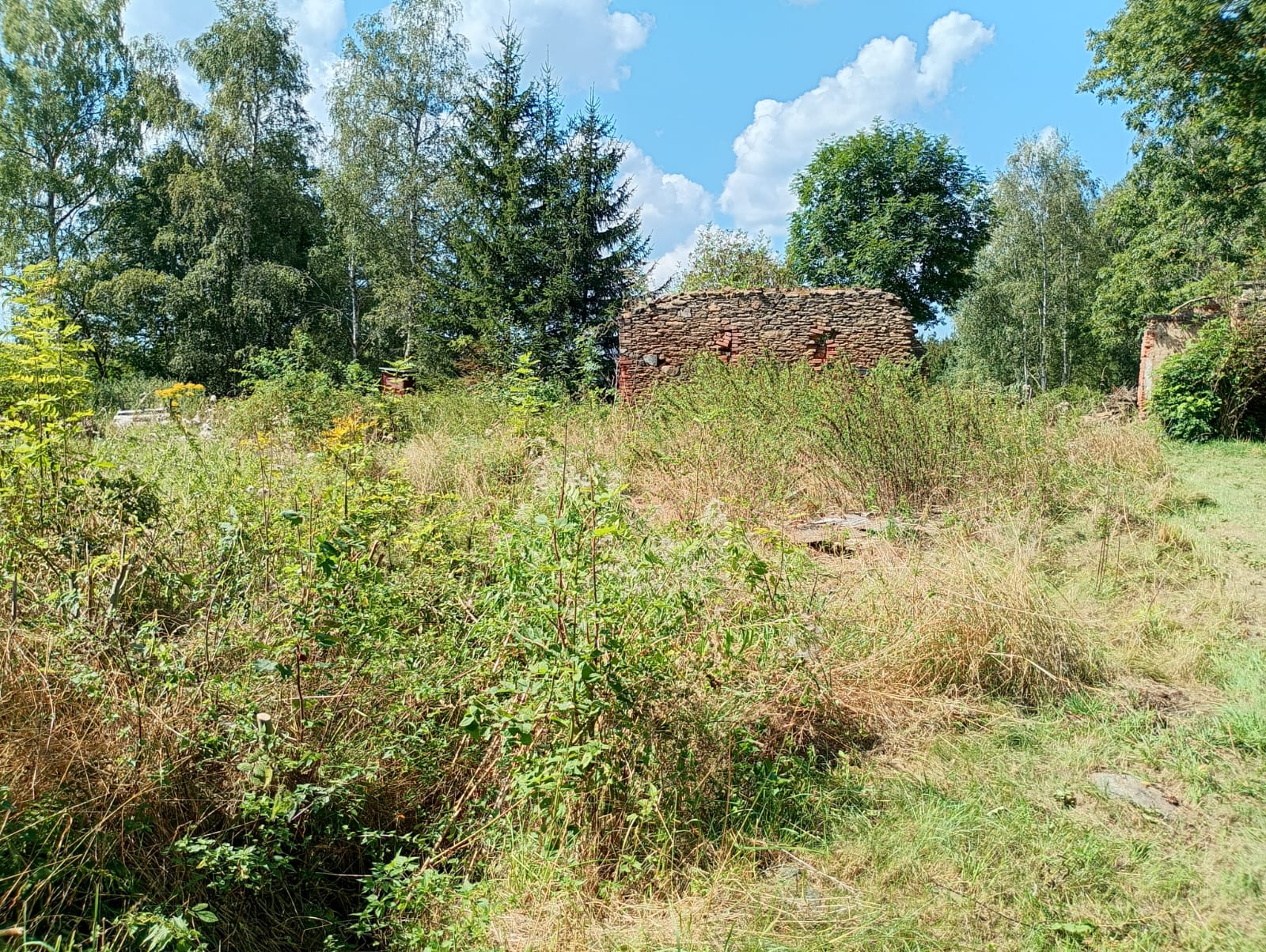 Zemní, výkopové, manipulační a bourací práce v Podbořanech foto 5