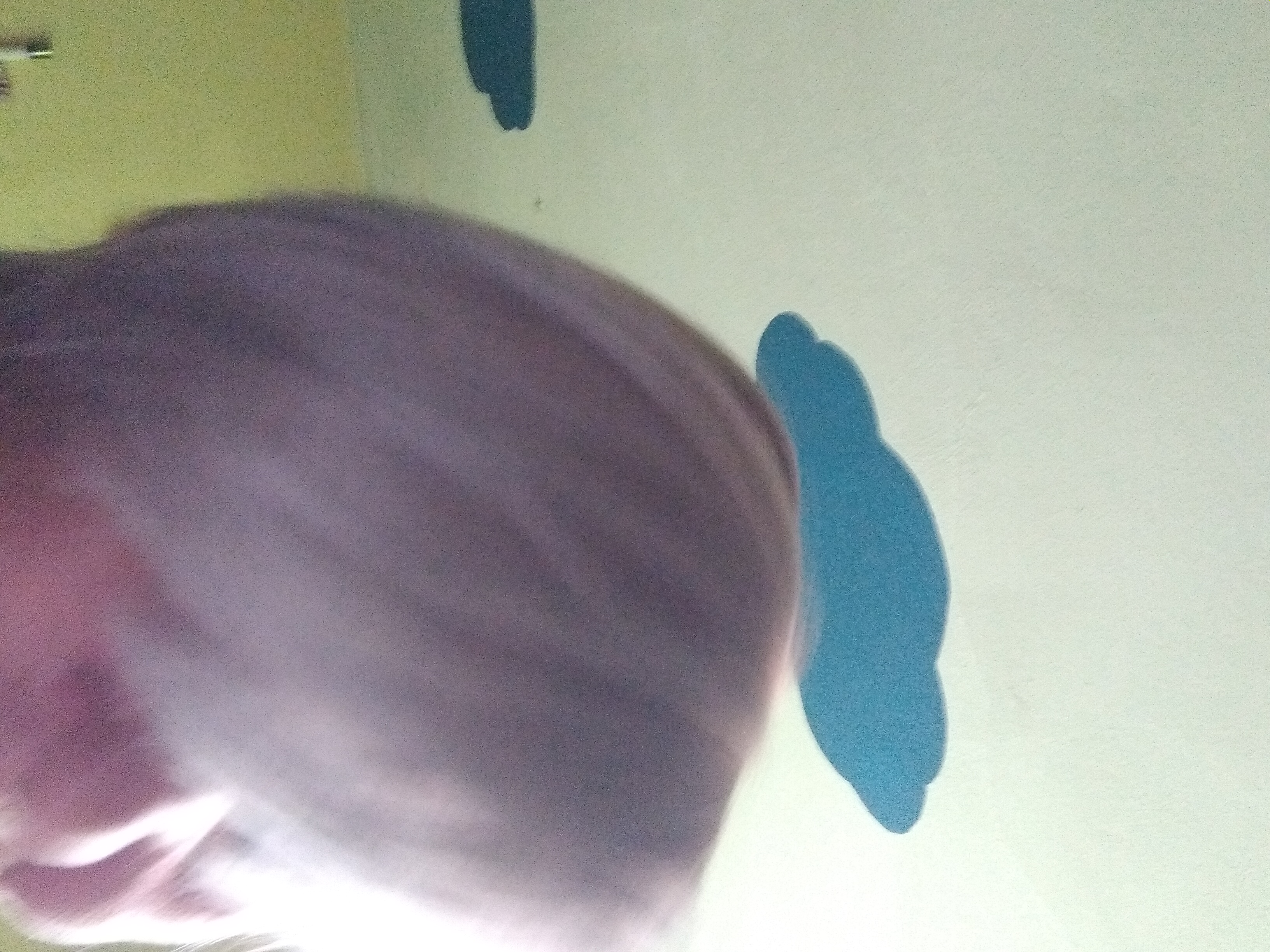 Kadeřnictví Iris foto 2