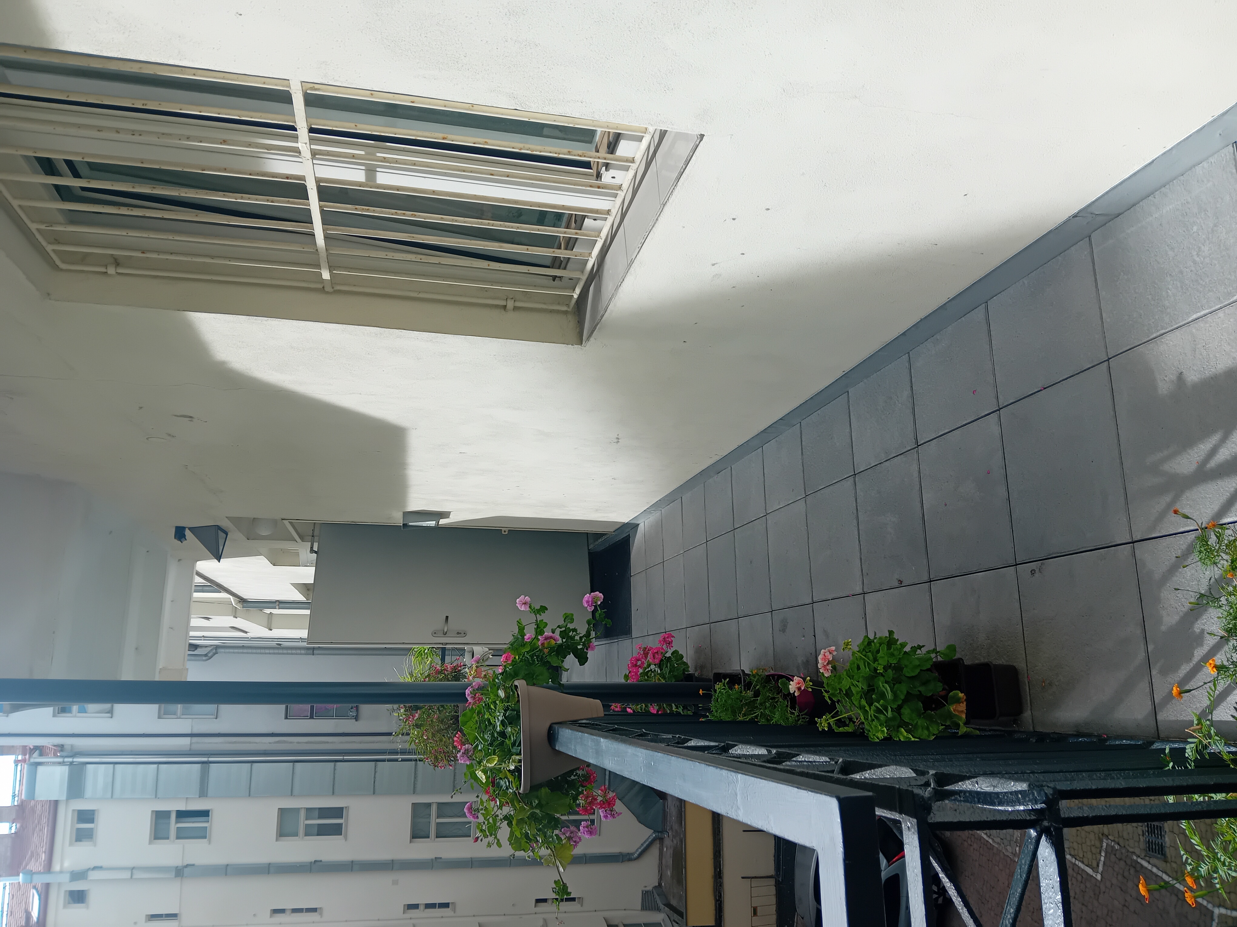 Barevný svět foto 4