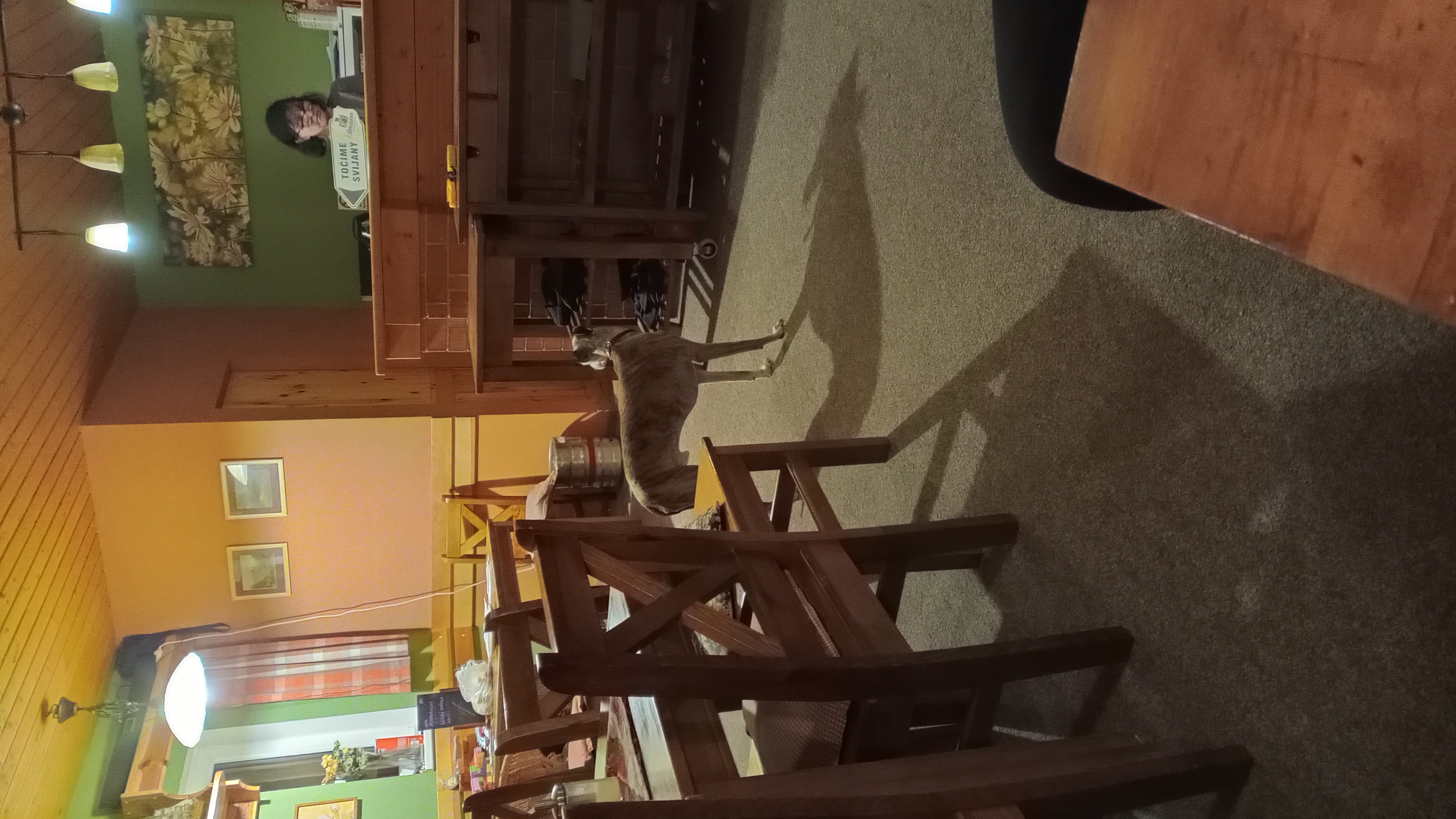 Penzion Lenka foto 4