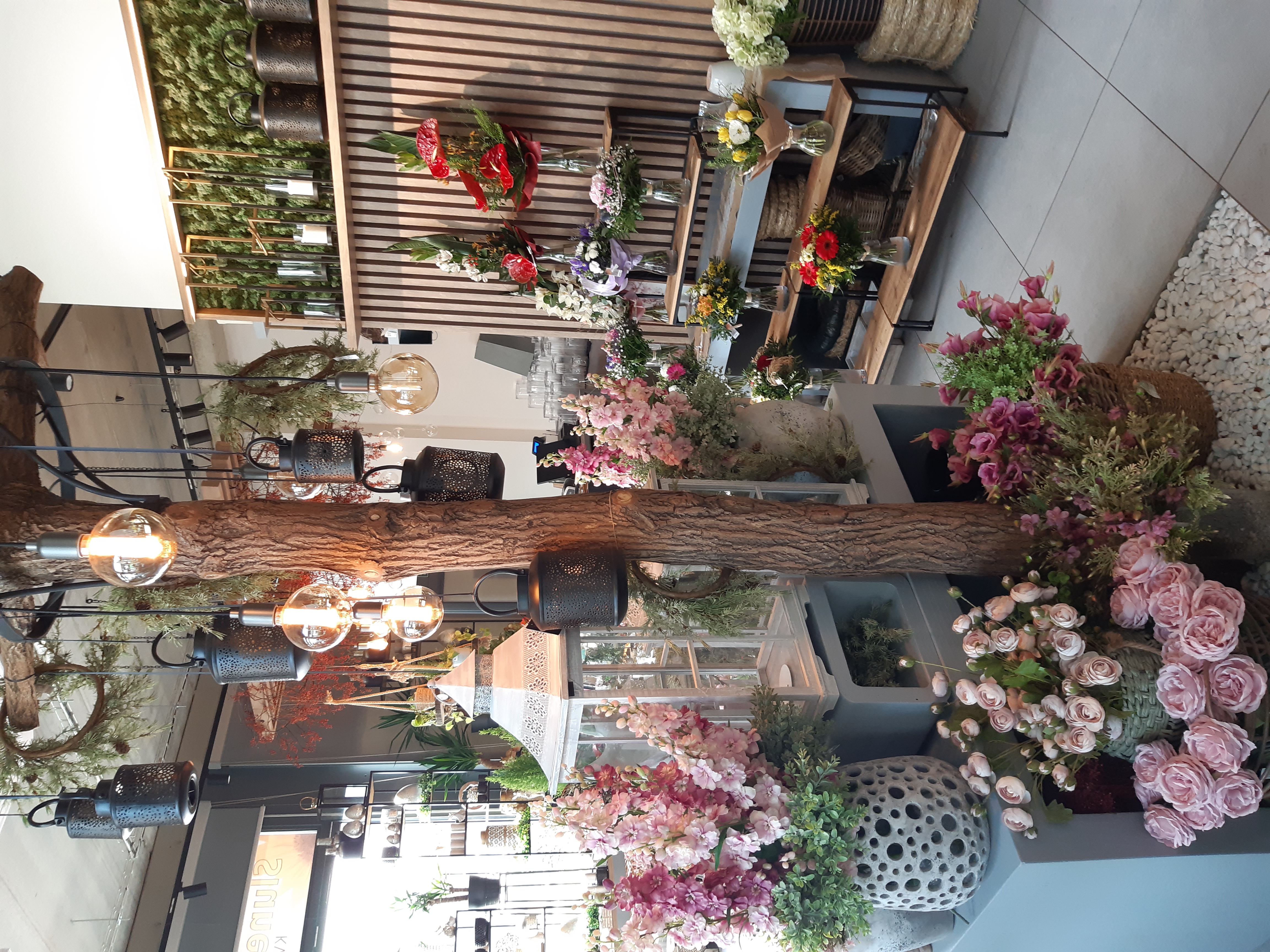 Café Slunečnice foto 3