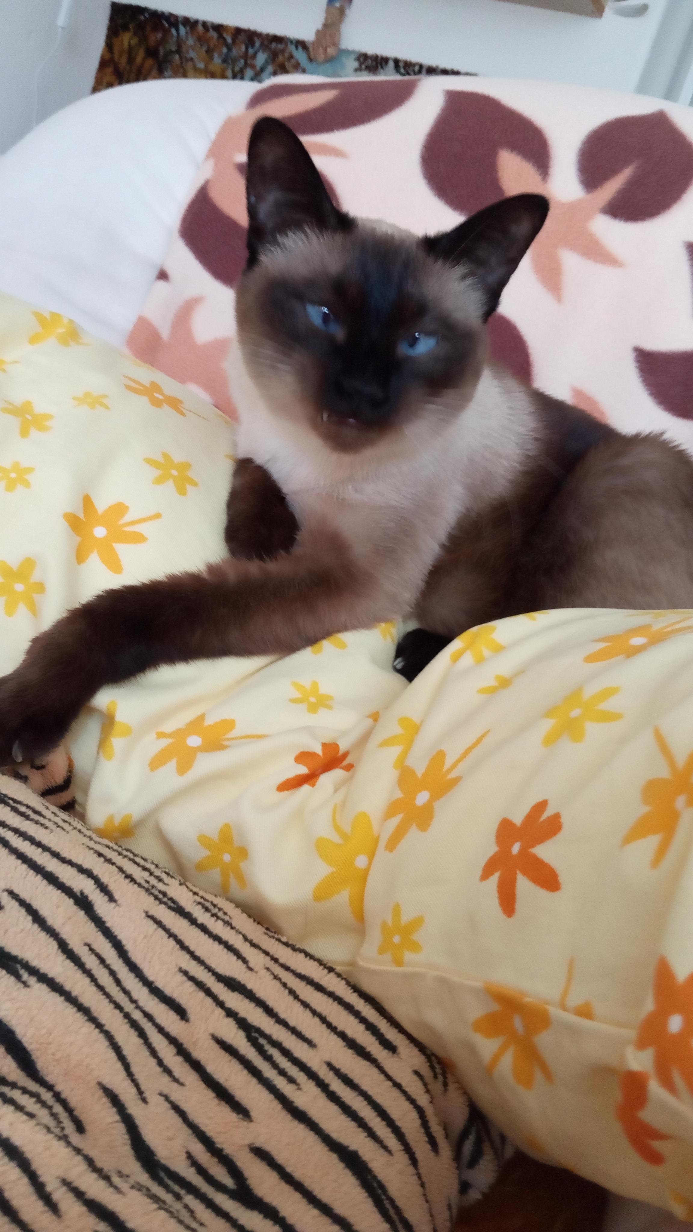 MVDr. Antonín Pantůček foto 2