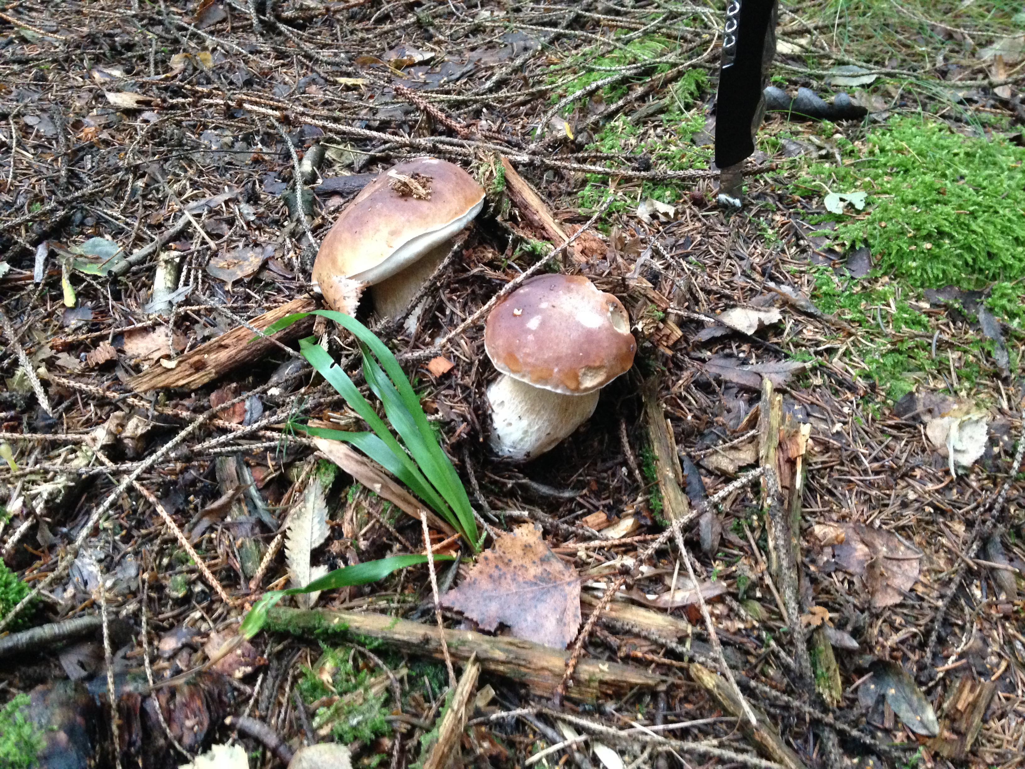 Ubytování u Orlíku foto 4