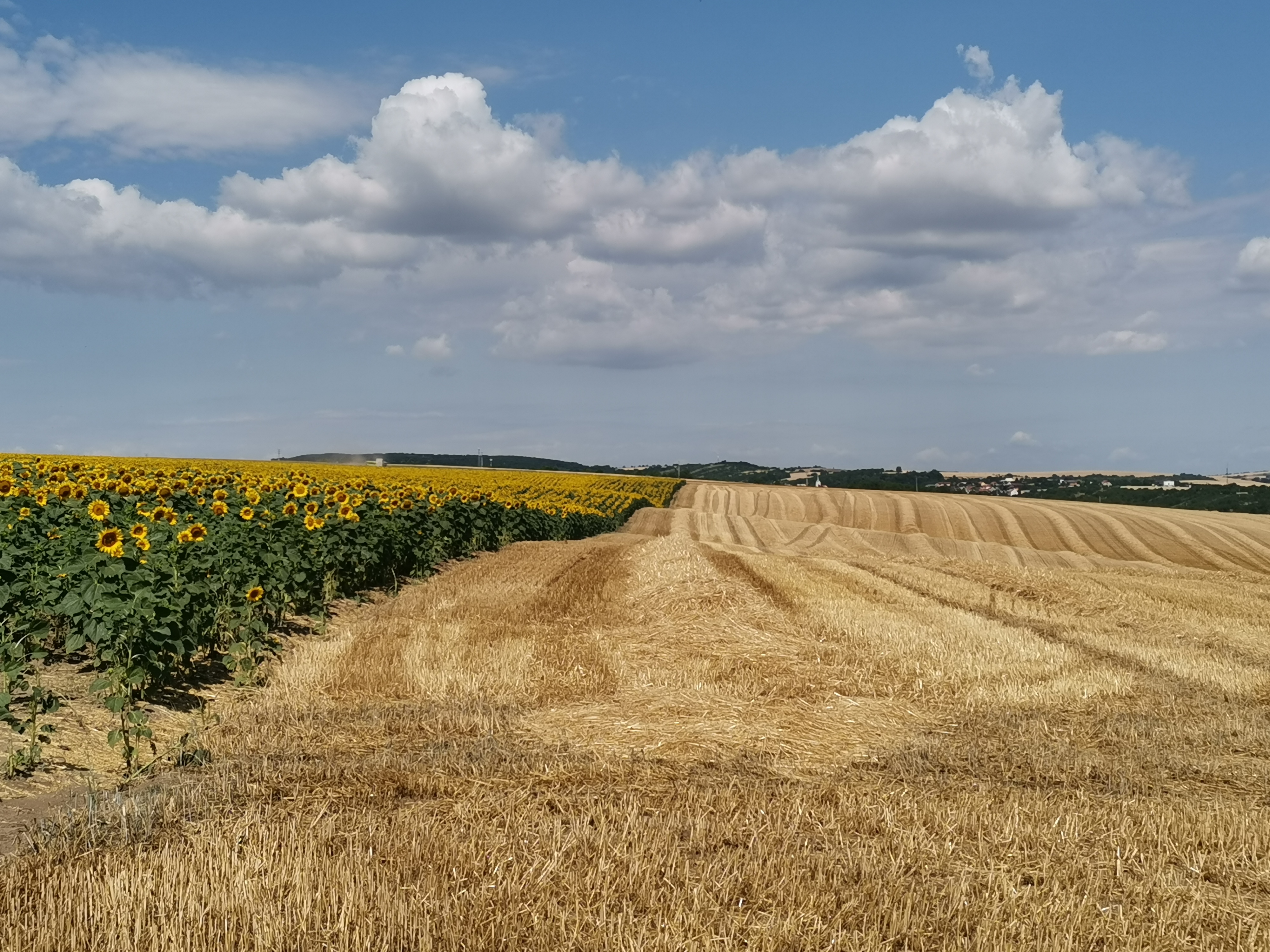 Podkumstatem.cz foto 5