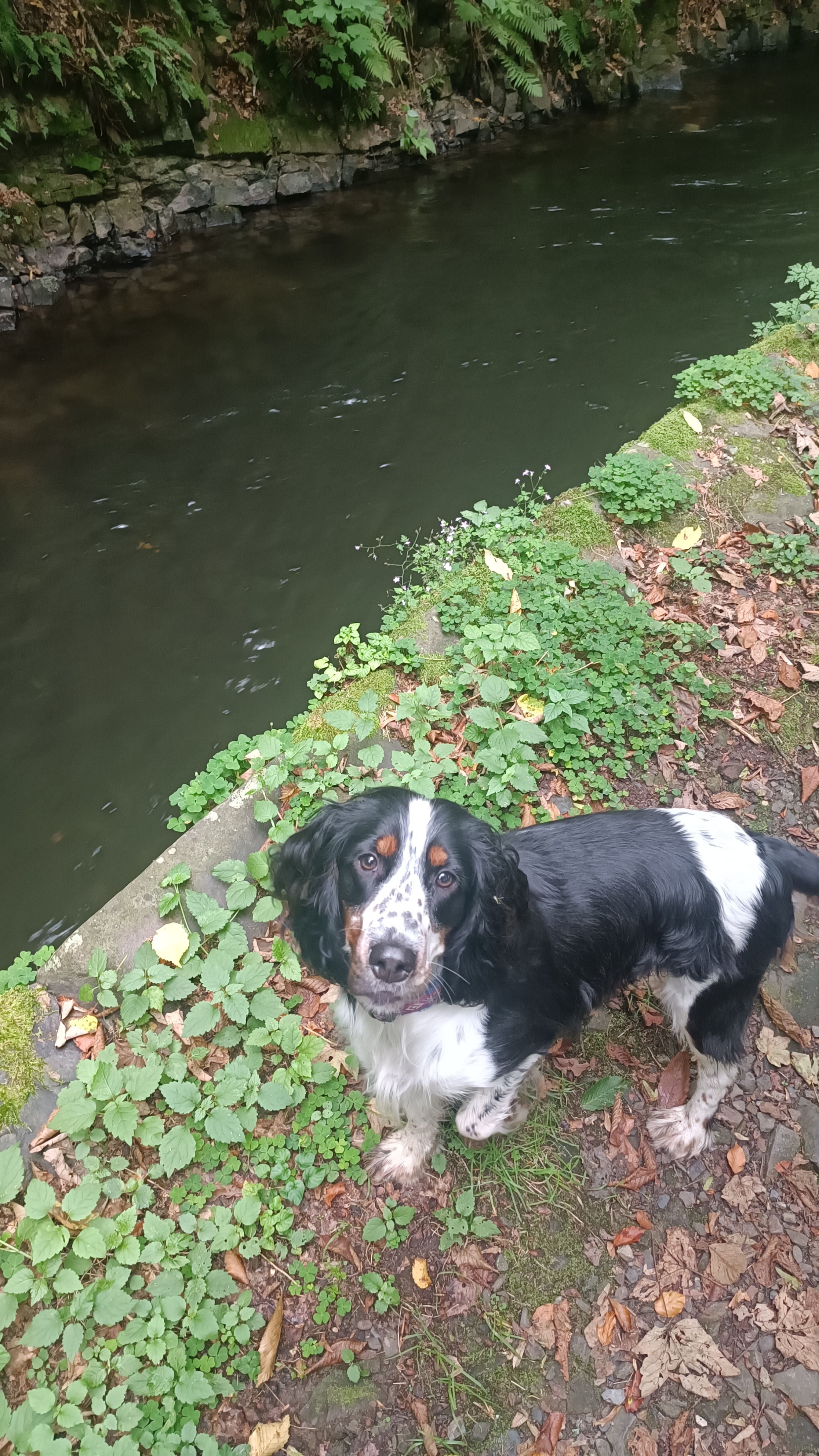 Údolí černého čápa foto 6