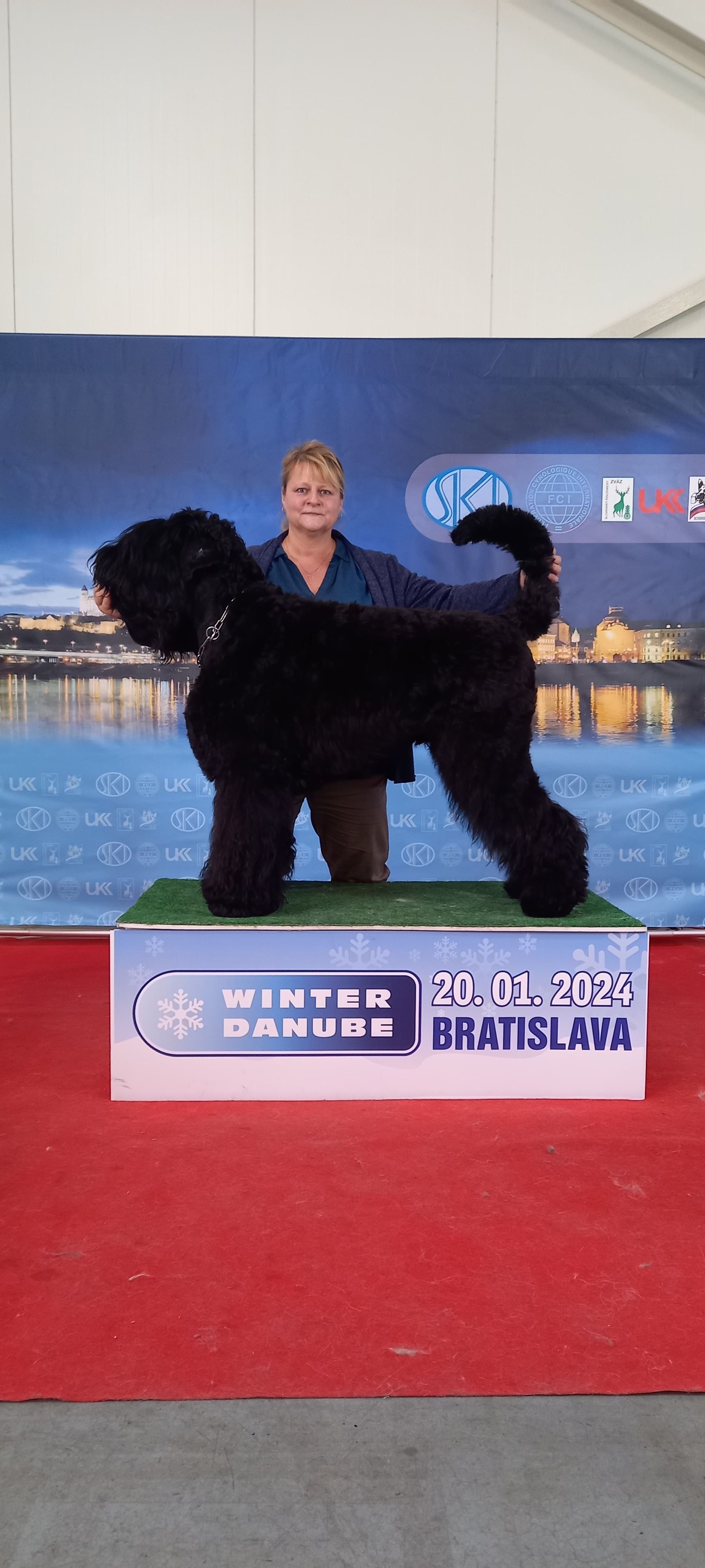 Salón Psí krása - Grooming Salón foto 5