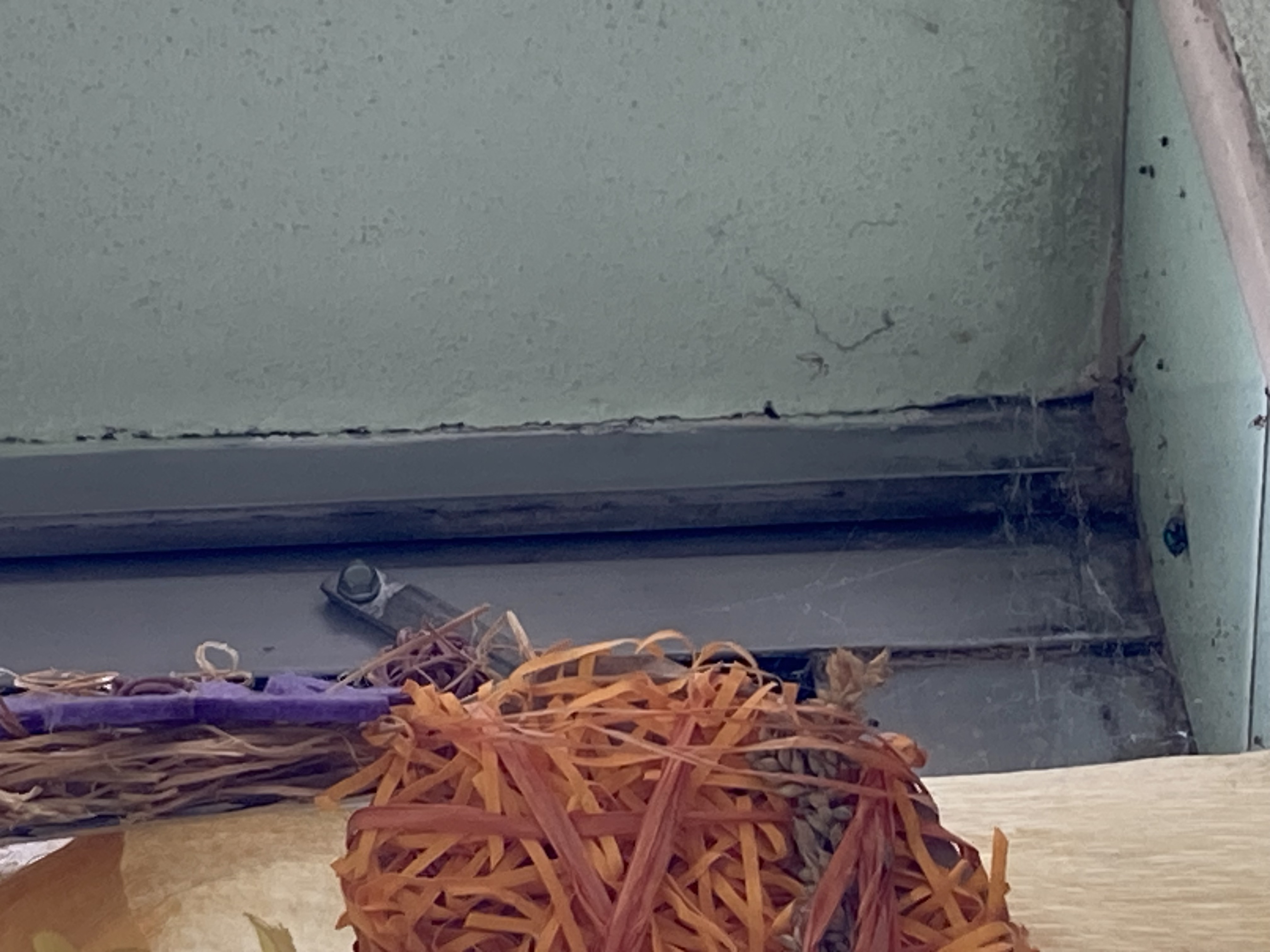 Jídelna JOTTO foto 6