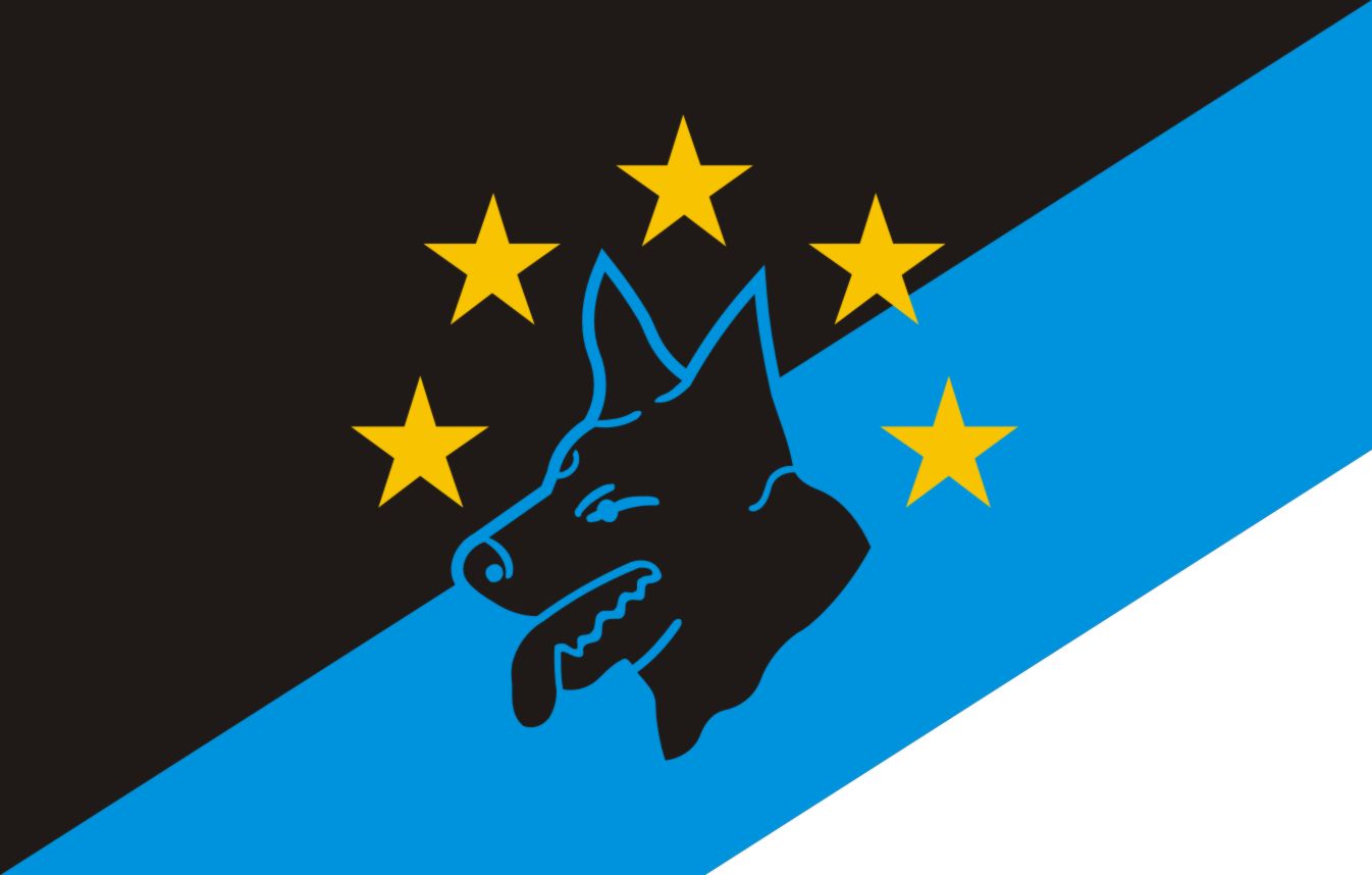 Volkswagen Financial Services foto 5