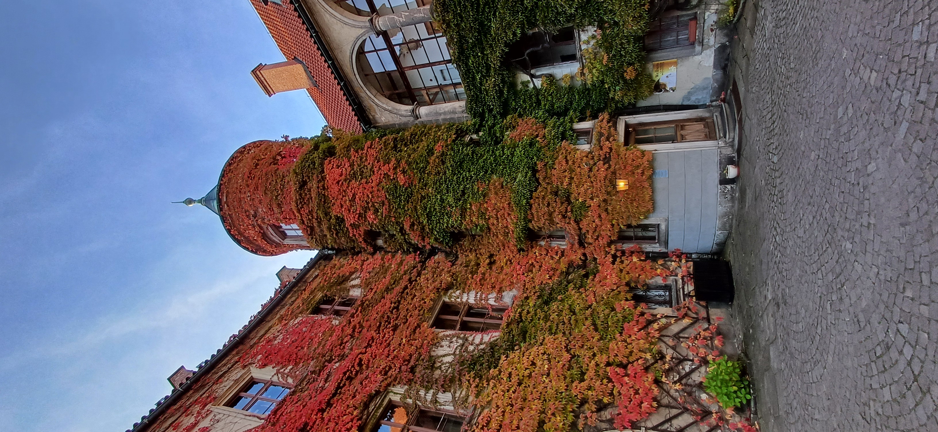 HOTEL ZÁMEK HRUBÁ SKÁLA, s.r.o. foto 2