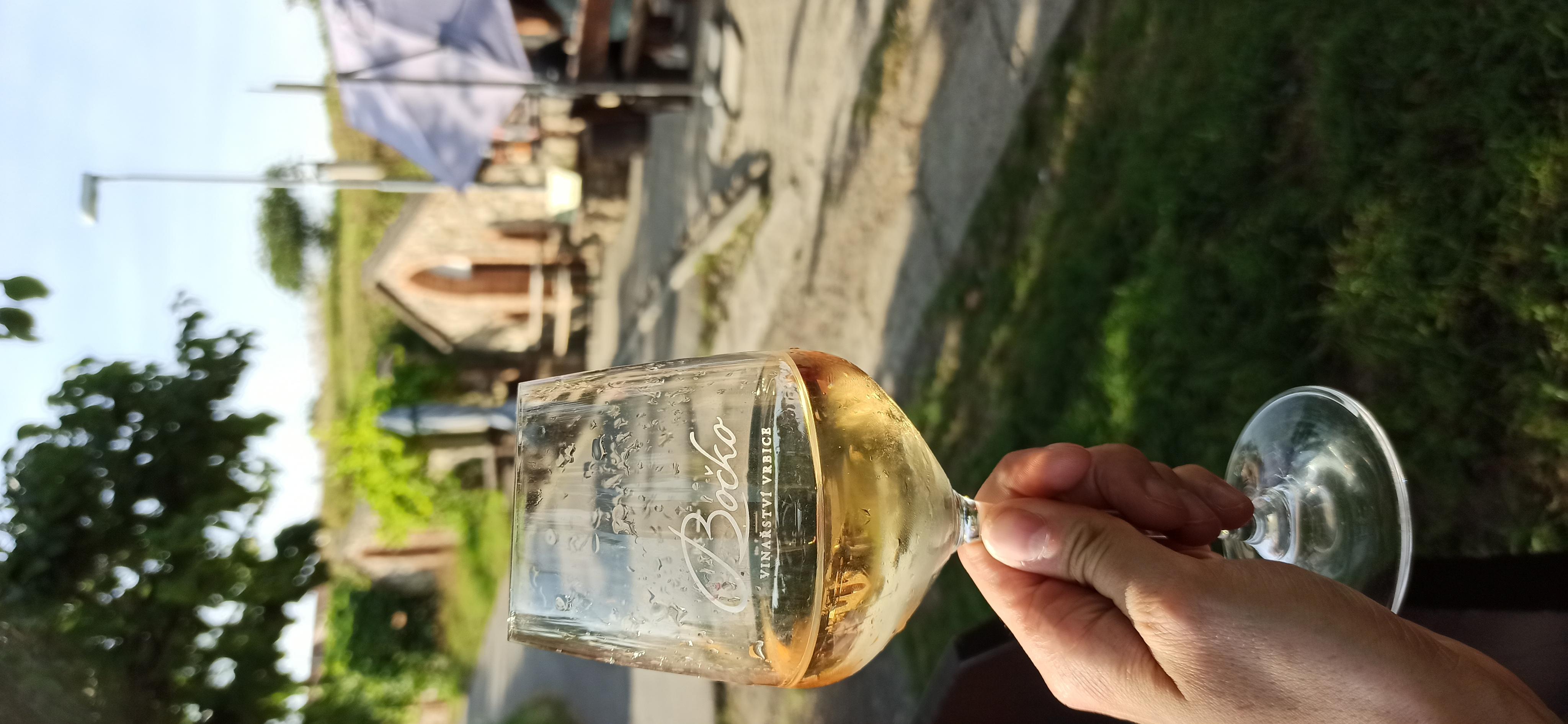 Vinařství Bočko - vinný sklep foto 4