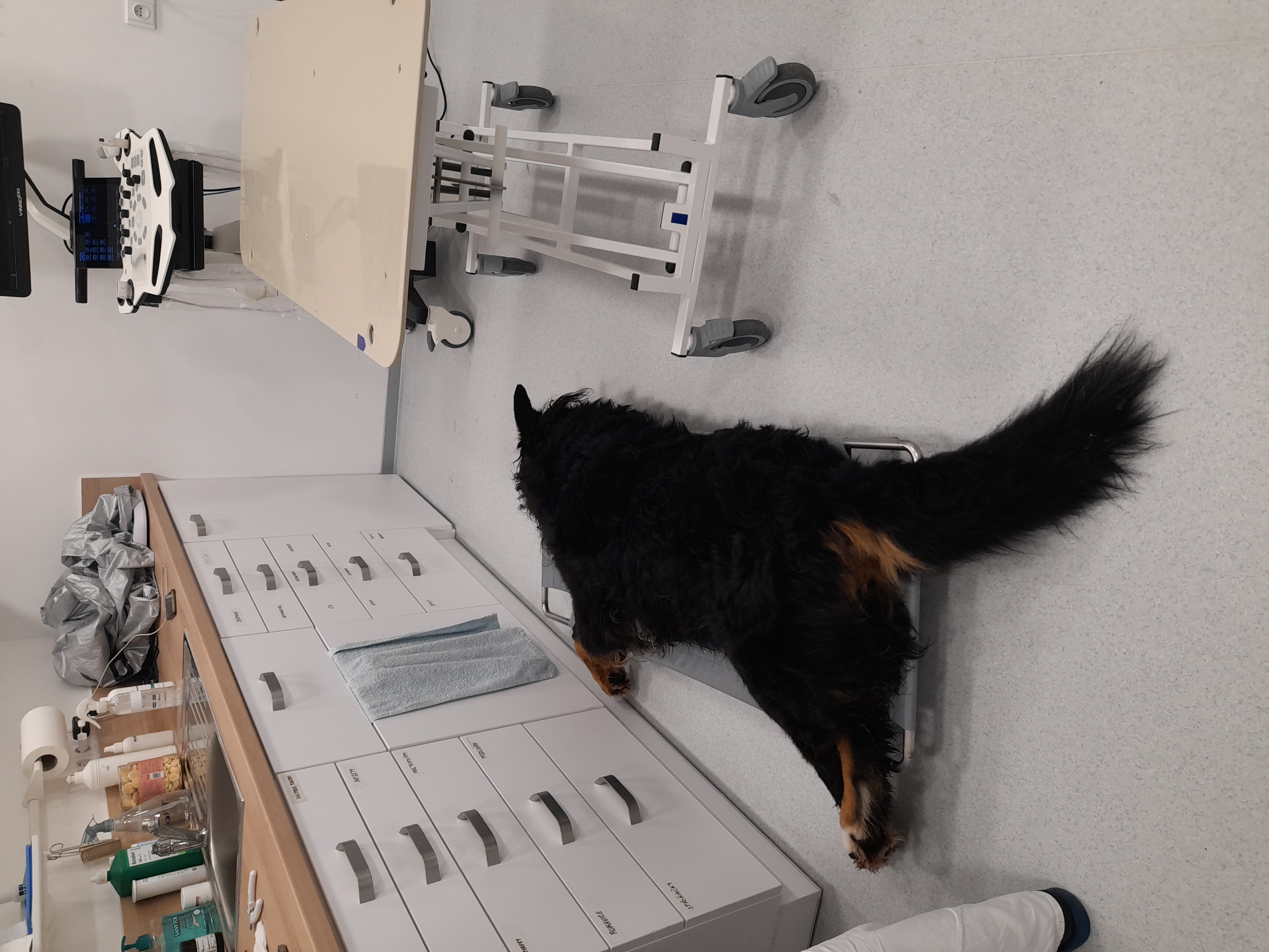 BUDvet Rožnov foto 4