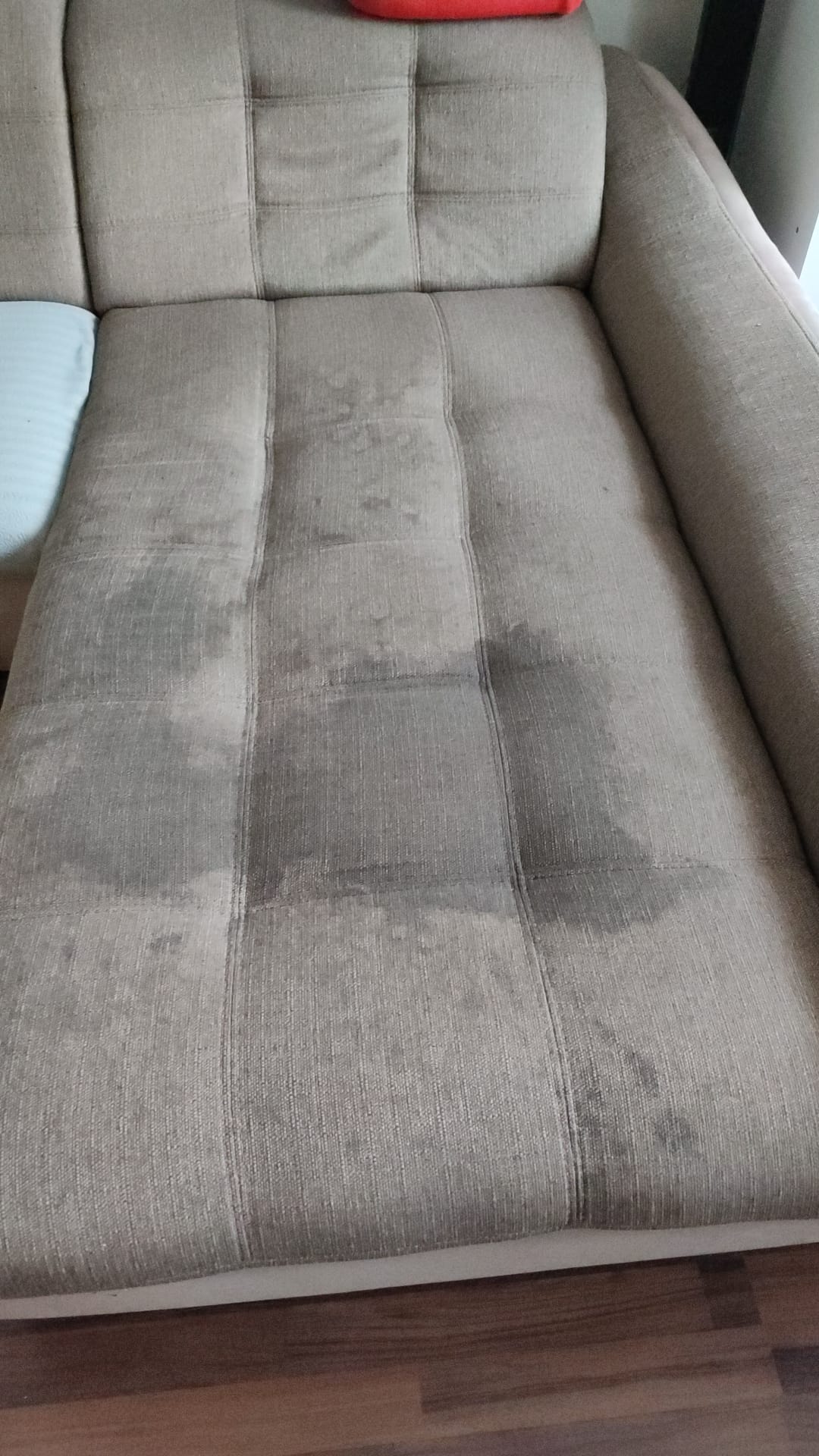 Úklidová firma Pomeranče citróny foto 4