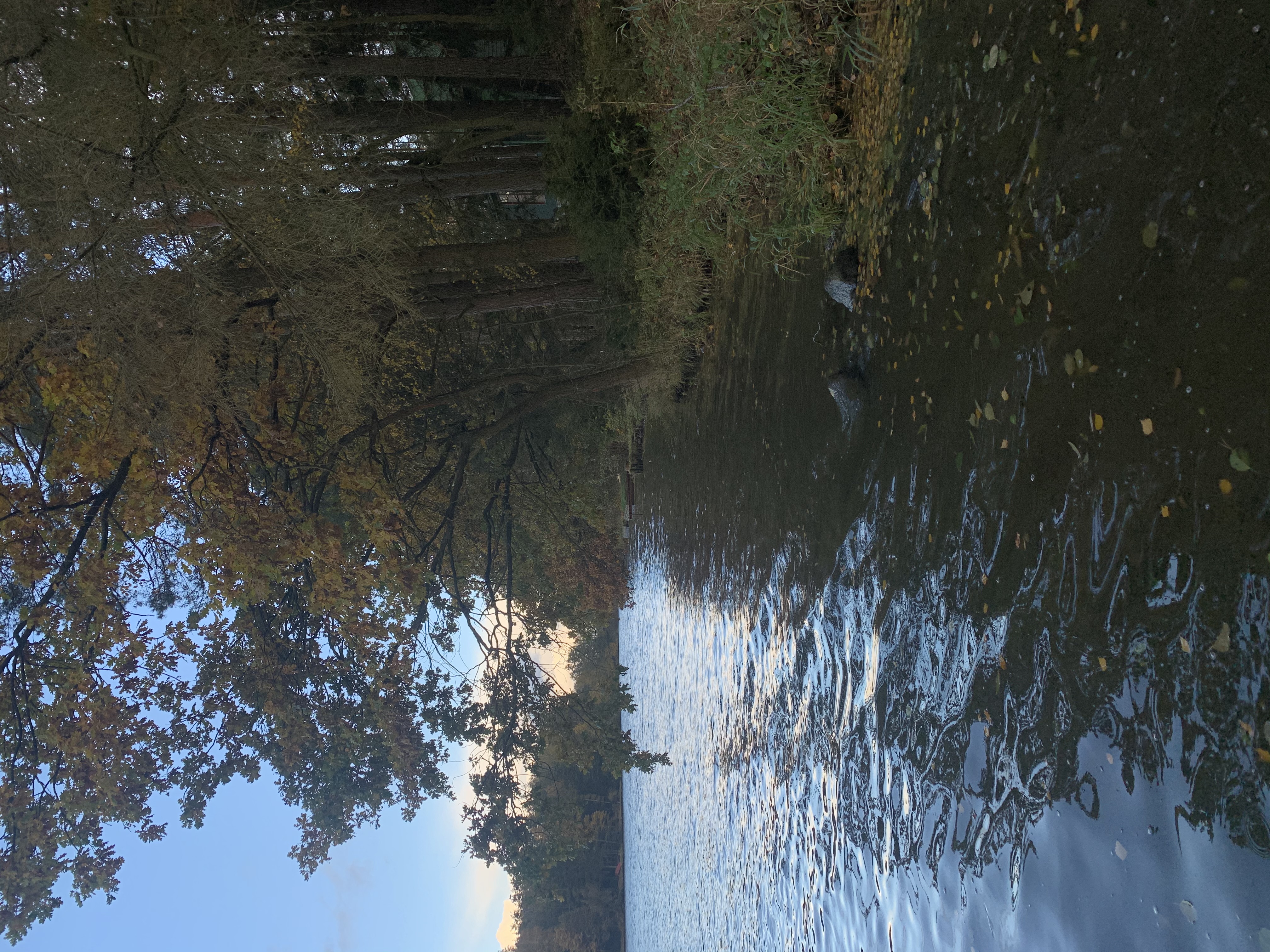 Střížovice - obecní úřad foto 4
