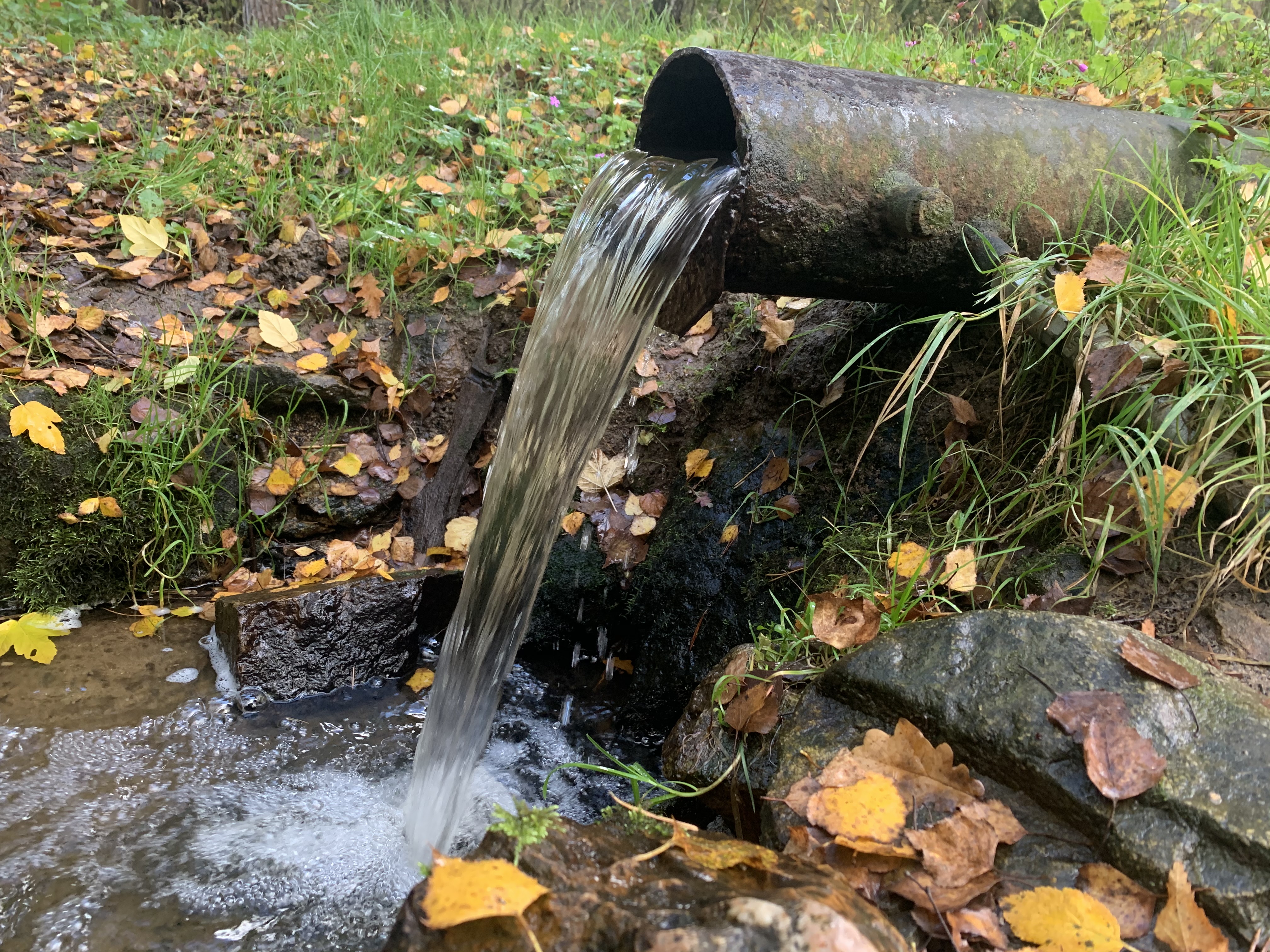 Střížovice - obecní úřad foto 3