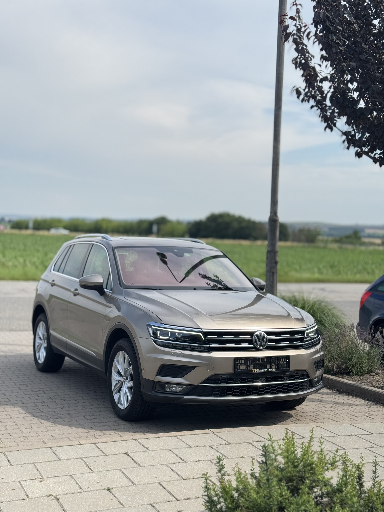 V.I.P. DYNAMIC CARS - prodej vozidel foto 6