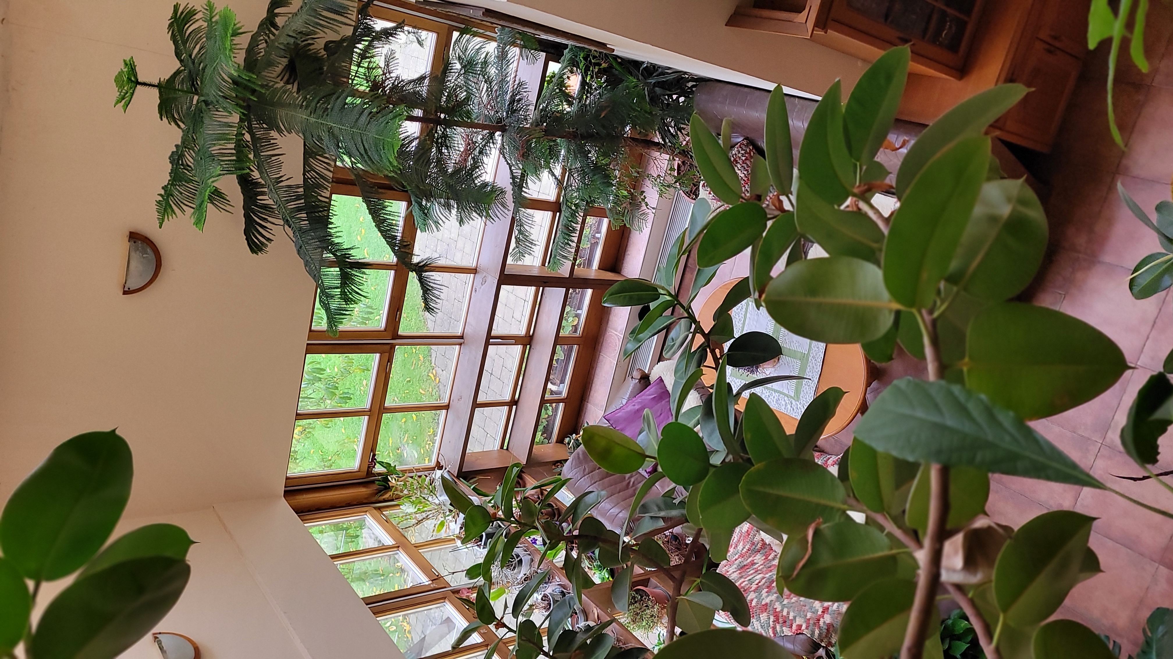 Rezidence Kejžlice foto 3