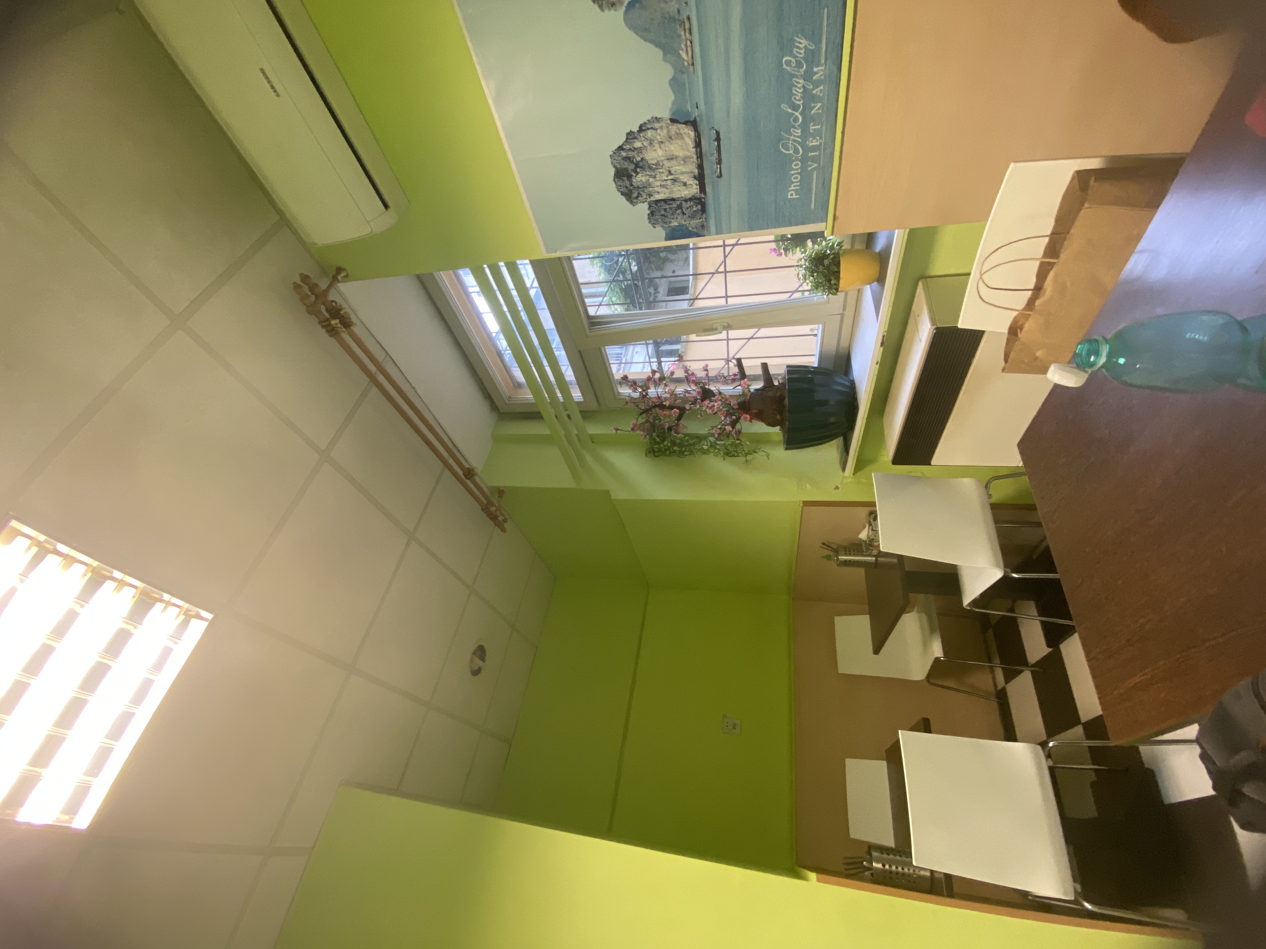 Asia fast food foto 4