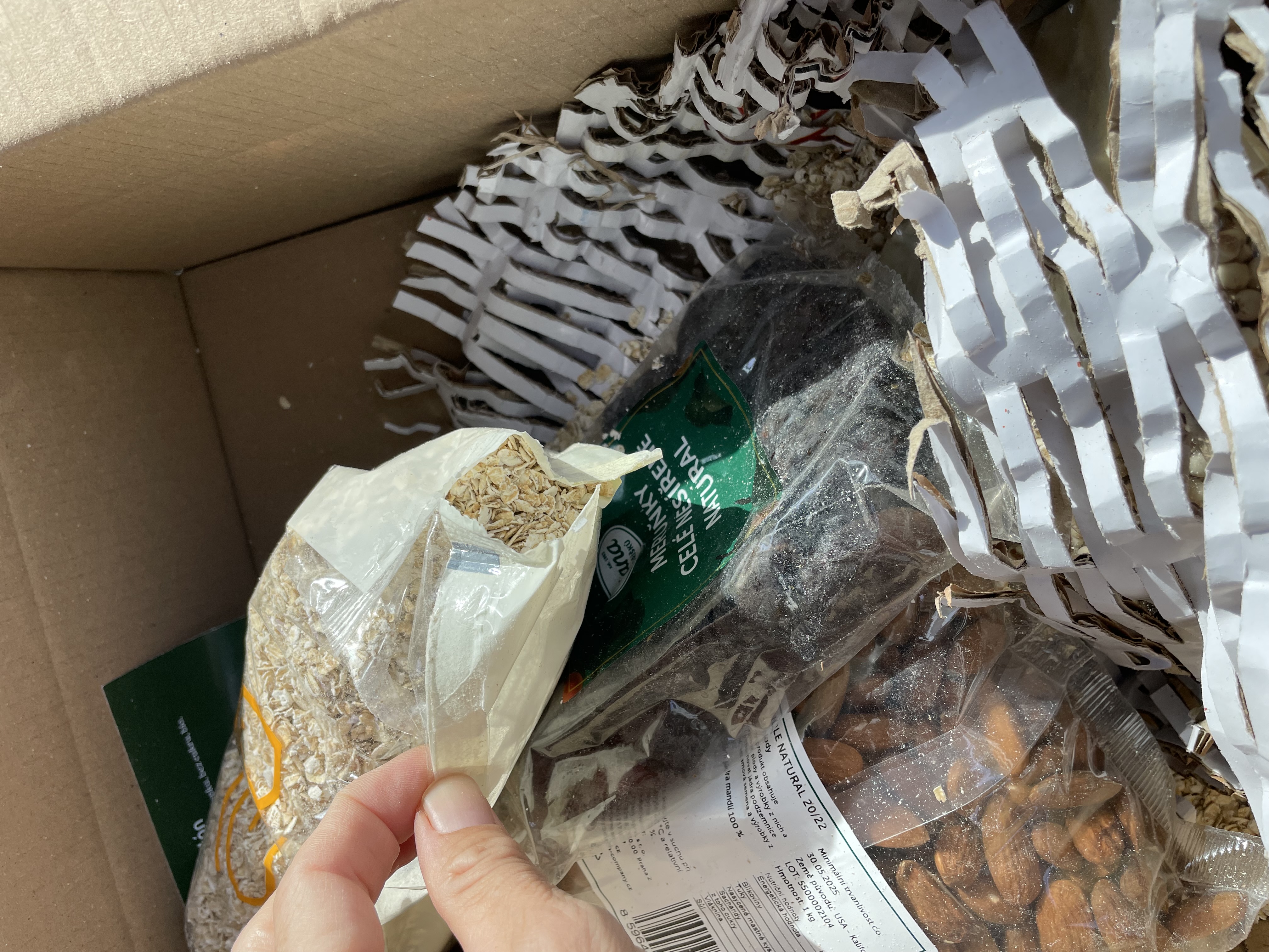 Diana Svět oříšků foto 4