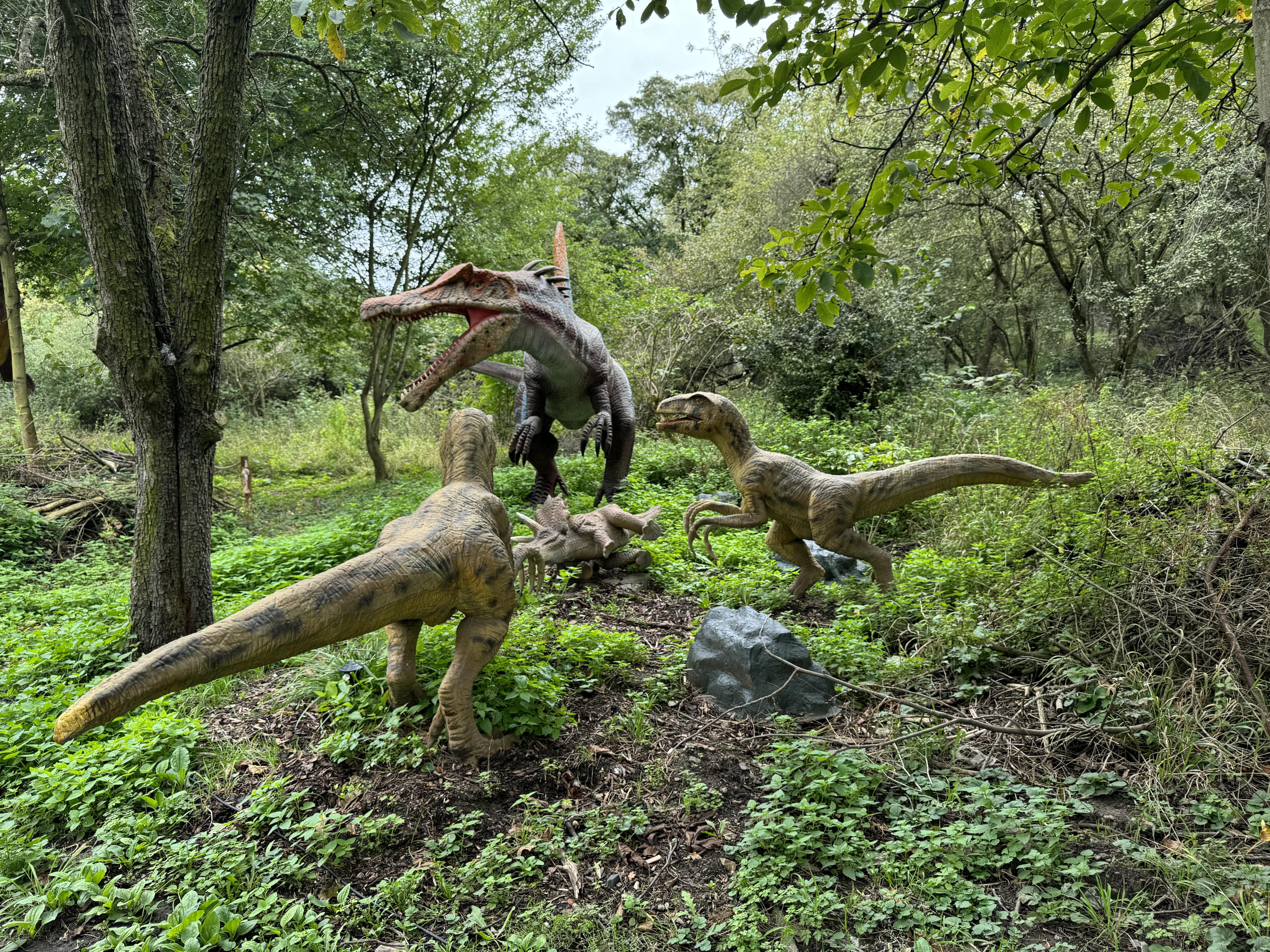 DinoLive foto 5