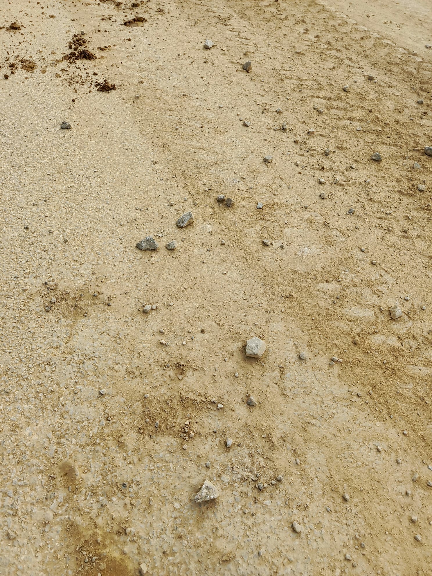 Zemní práce Burda foto 4