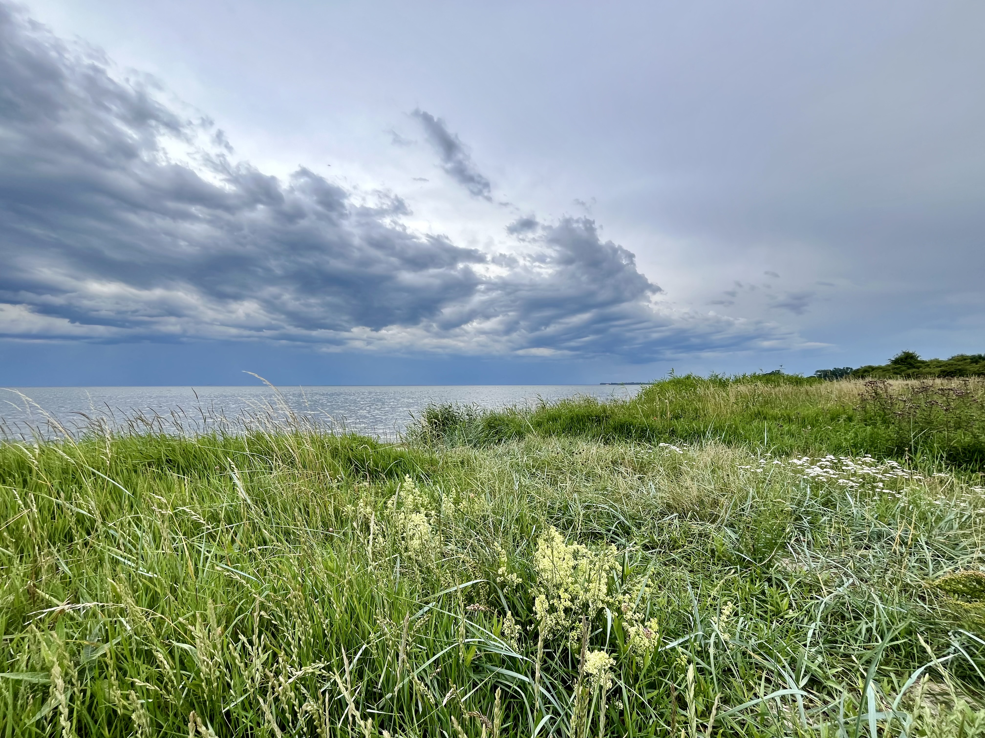 SKI SURF SPORT foto 6