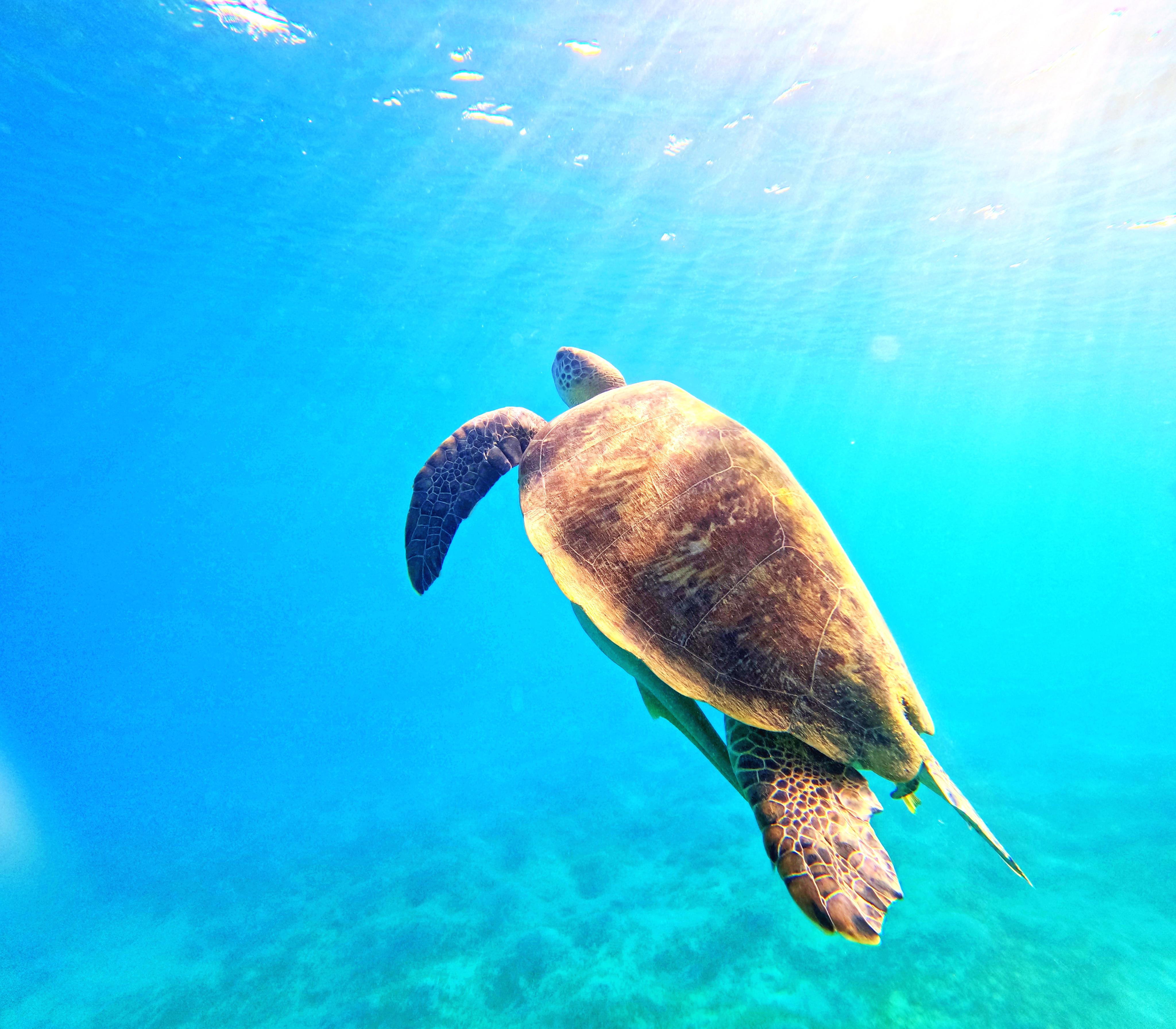 GoPro půjčovna foto 6