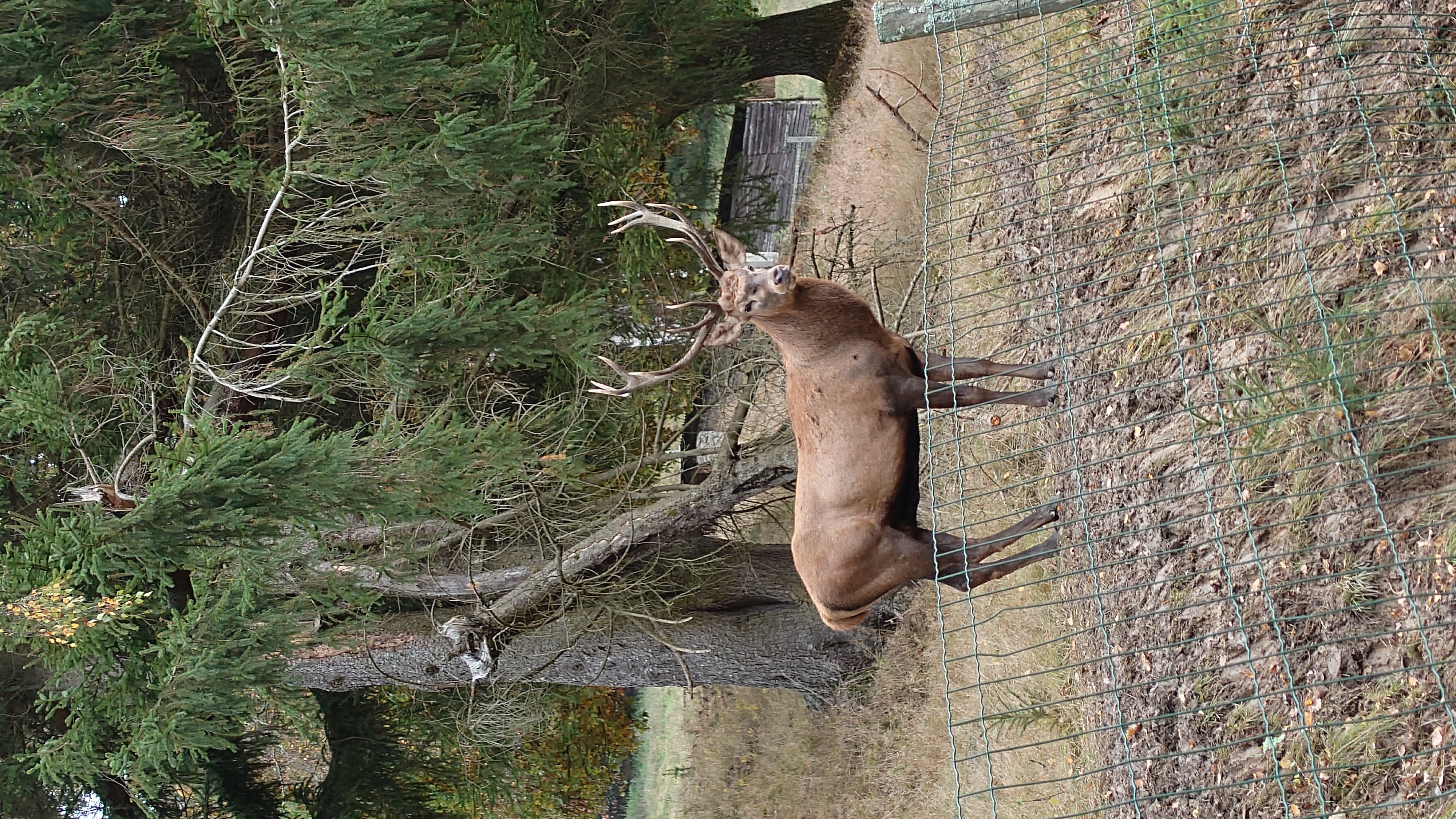 Chalupa U Posledního Rožmberka foto 3