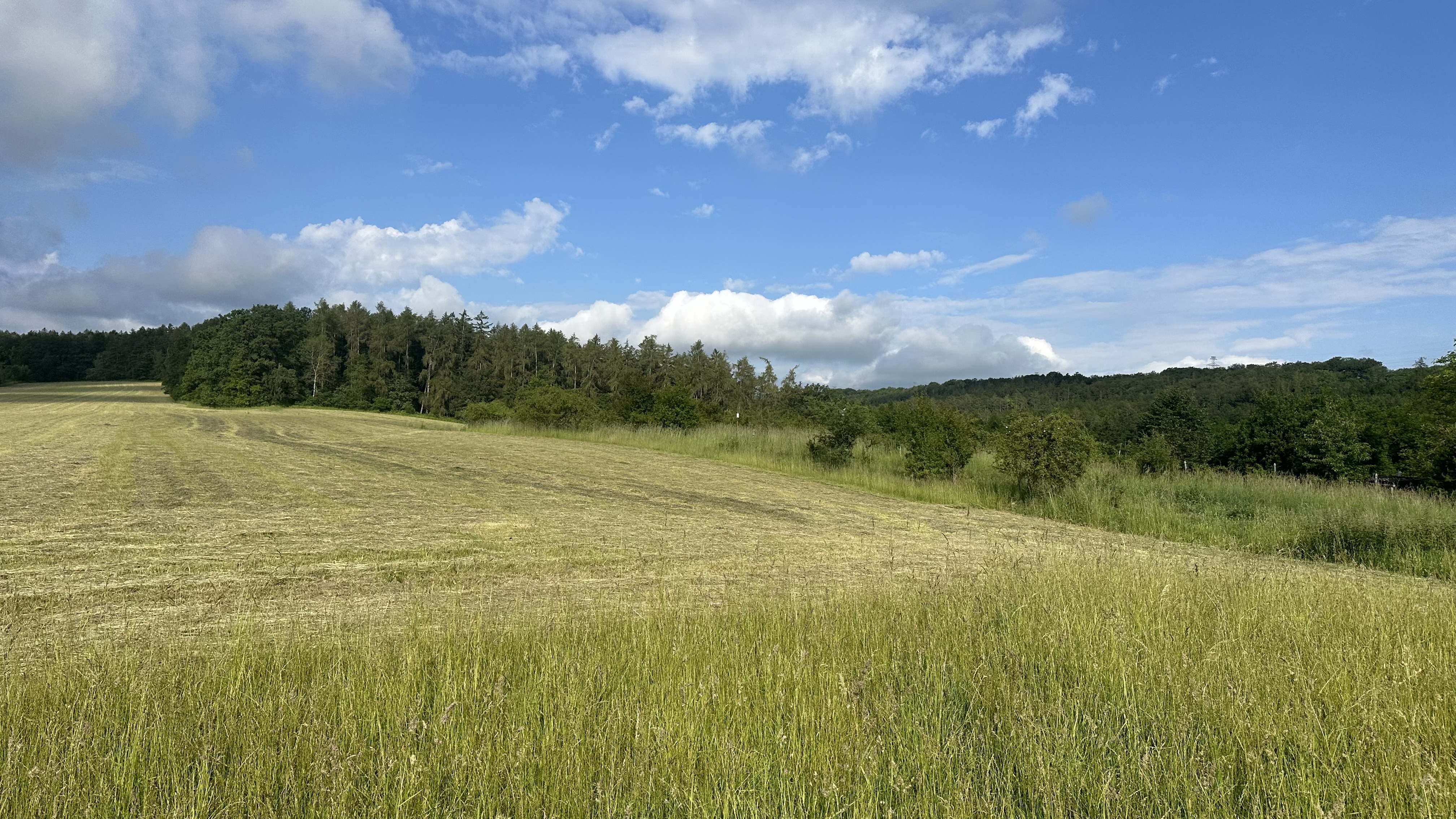 Svinařov - obecní úřad foto 6