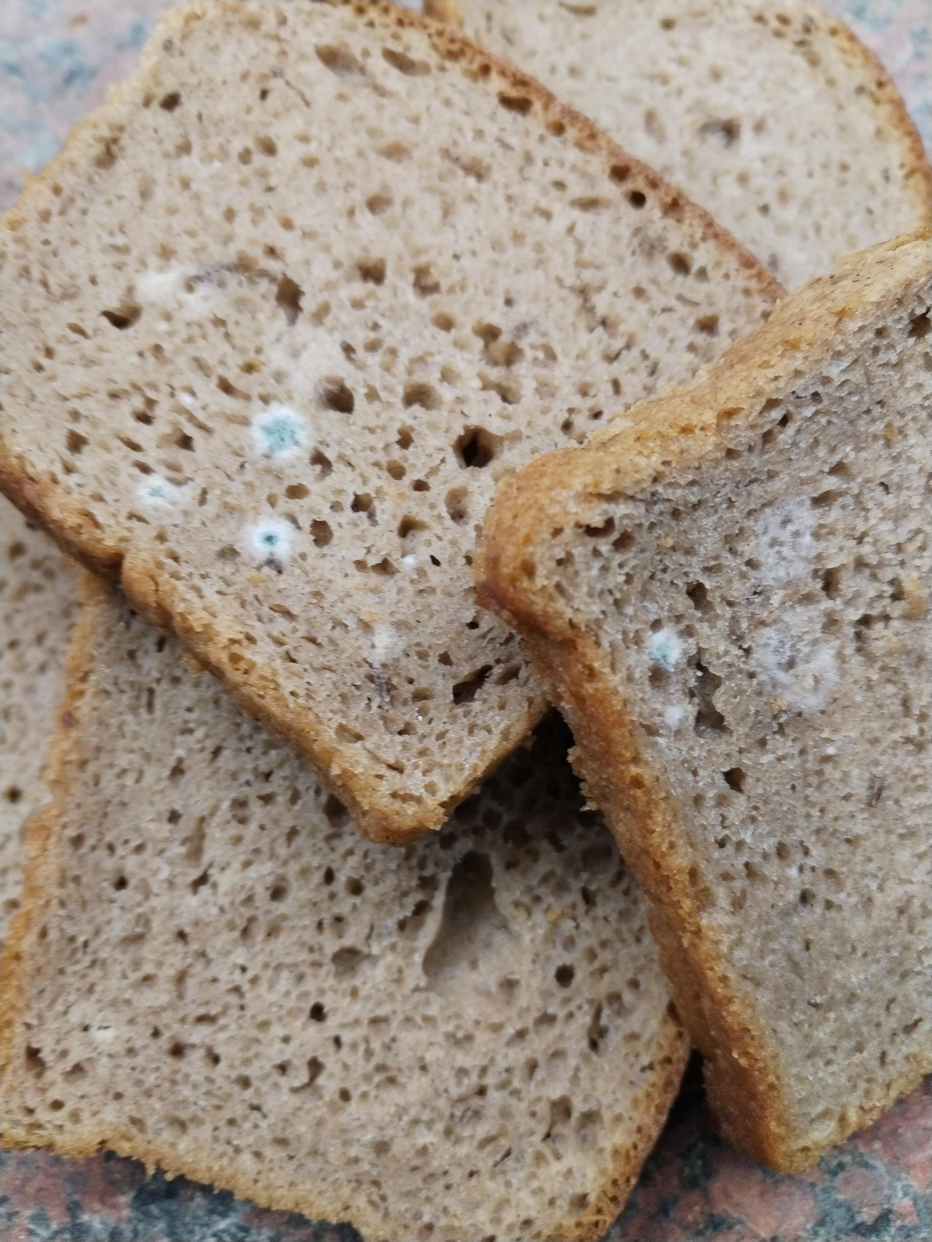 Pekárna Lomná foto 6