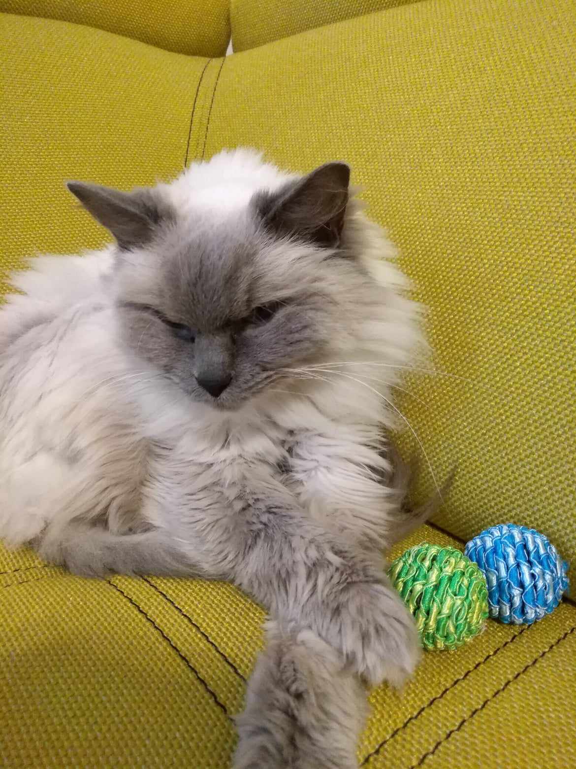 Veterinární klinika HANZA foto 6