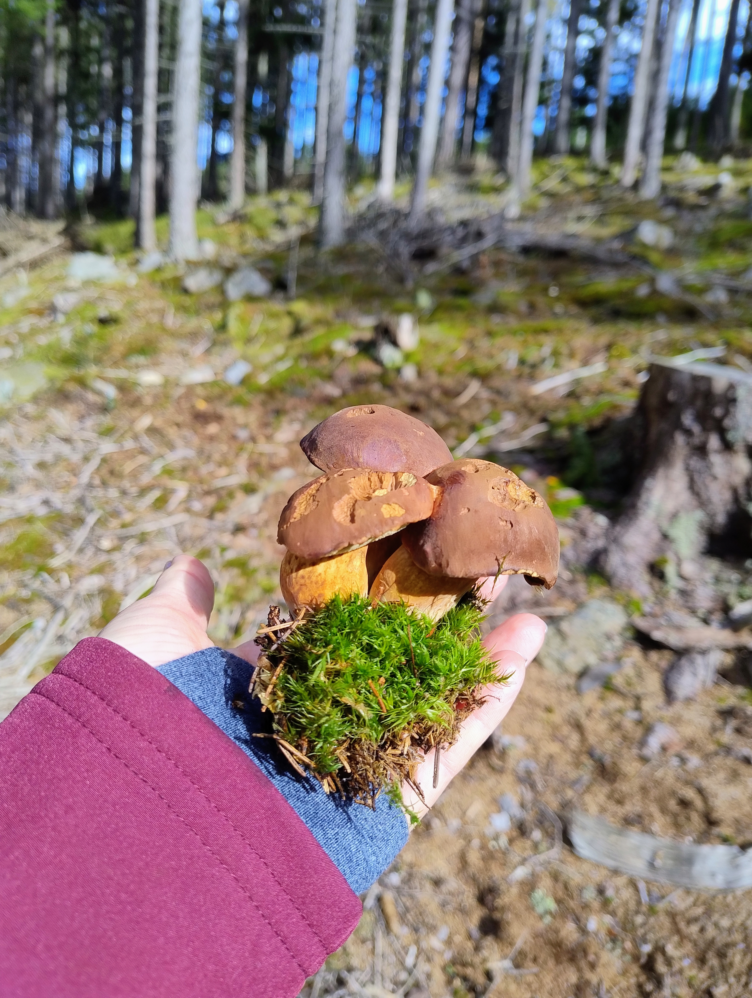Chata pod Obřím hradem foto 3