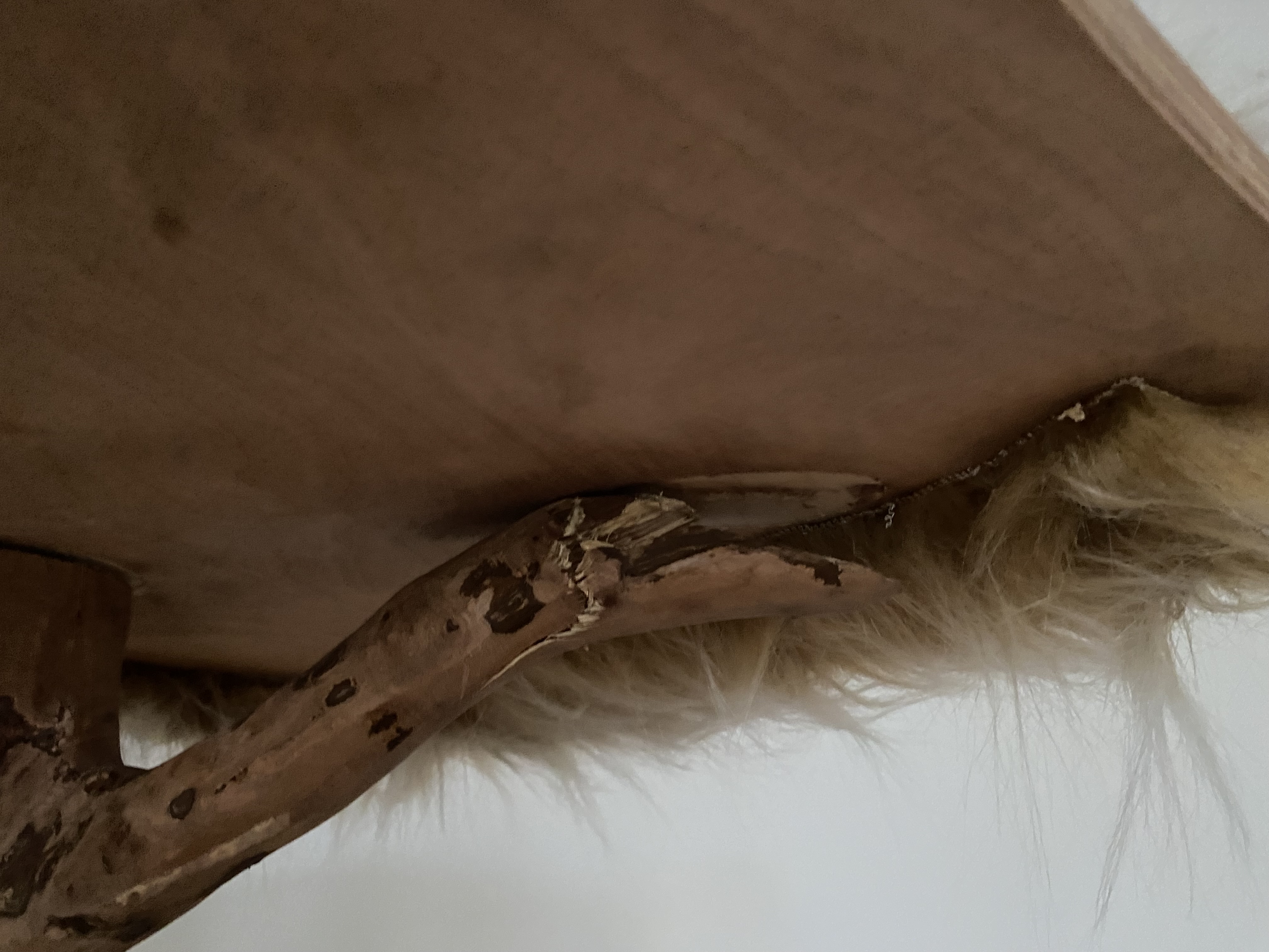 TOPTRANS EU, a.s., organizační složka foto 3