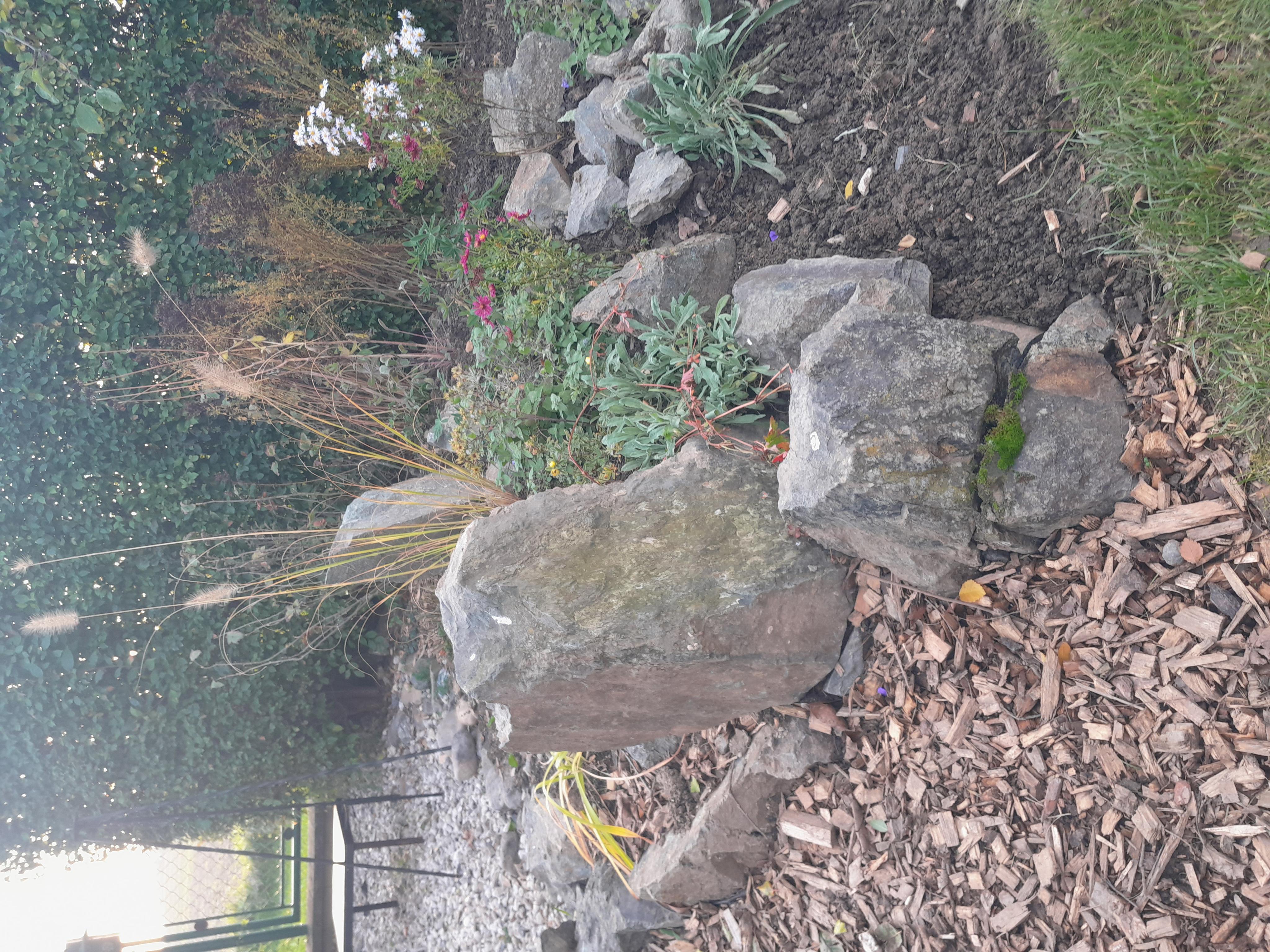 Údržba zahrad Jakub Jacko foto 6